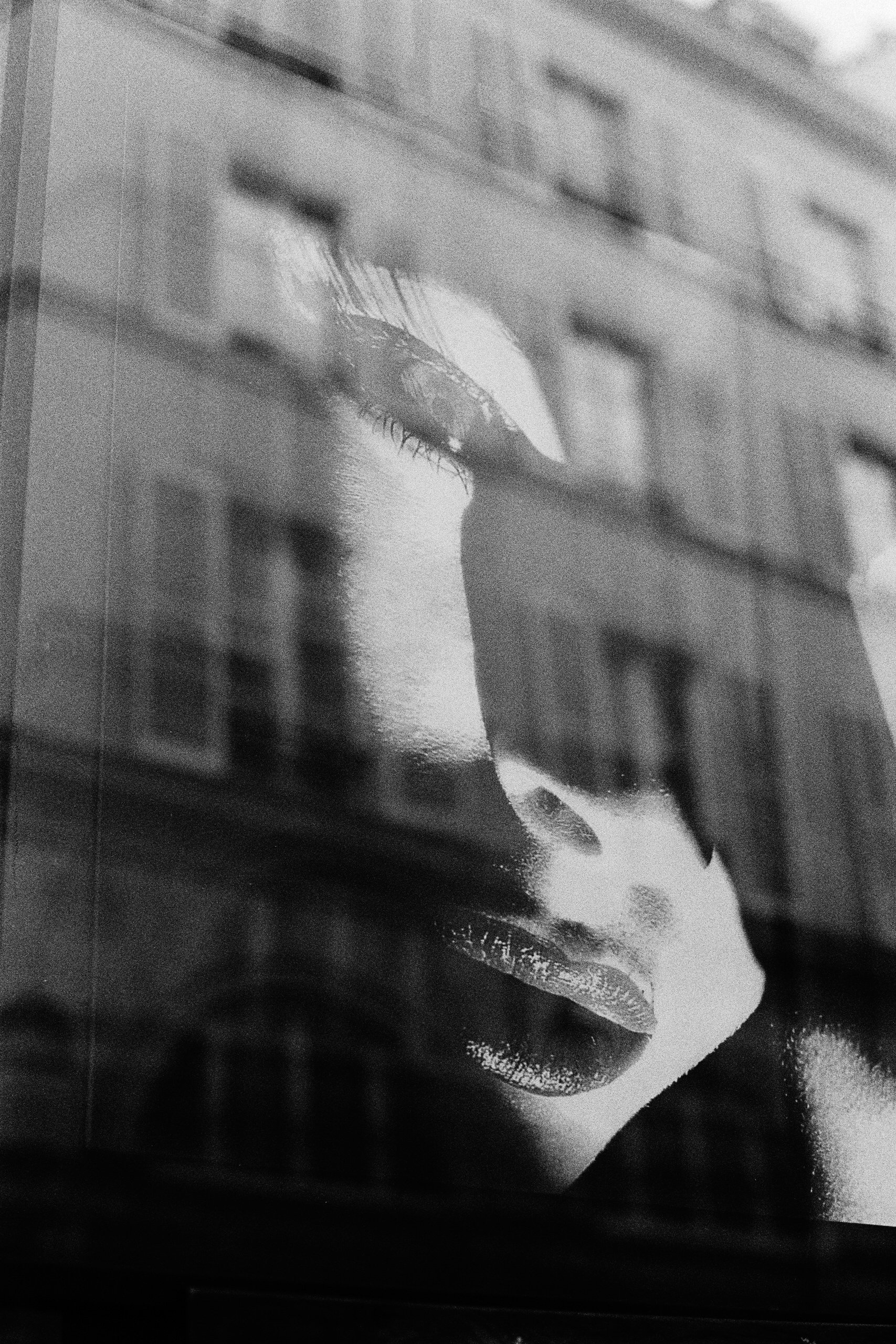 Window Shopper-26.JPG