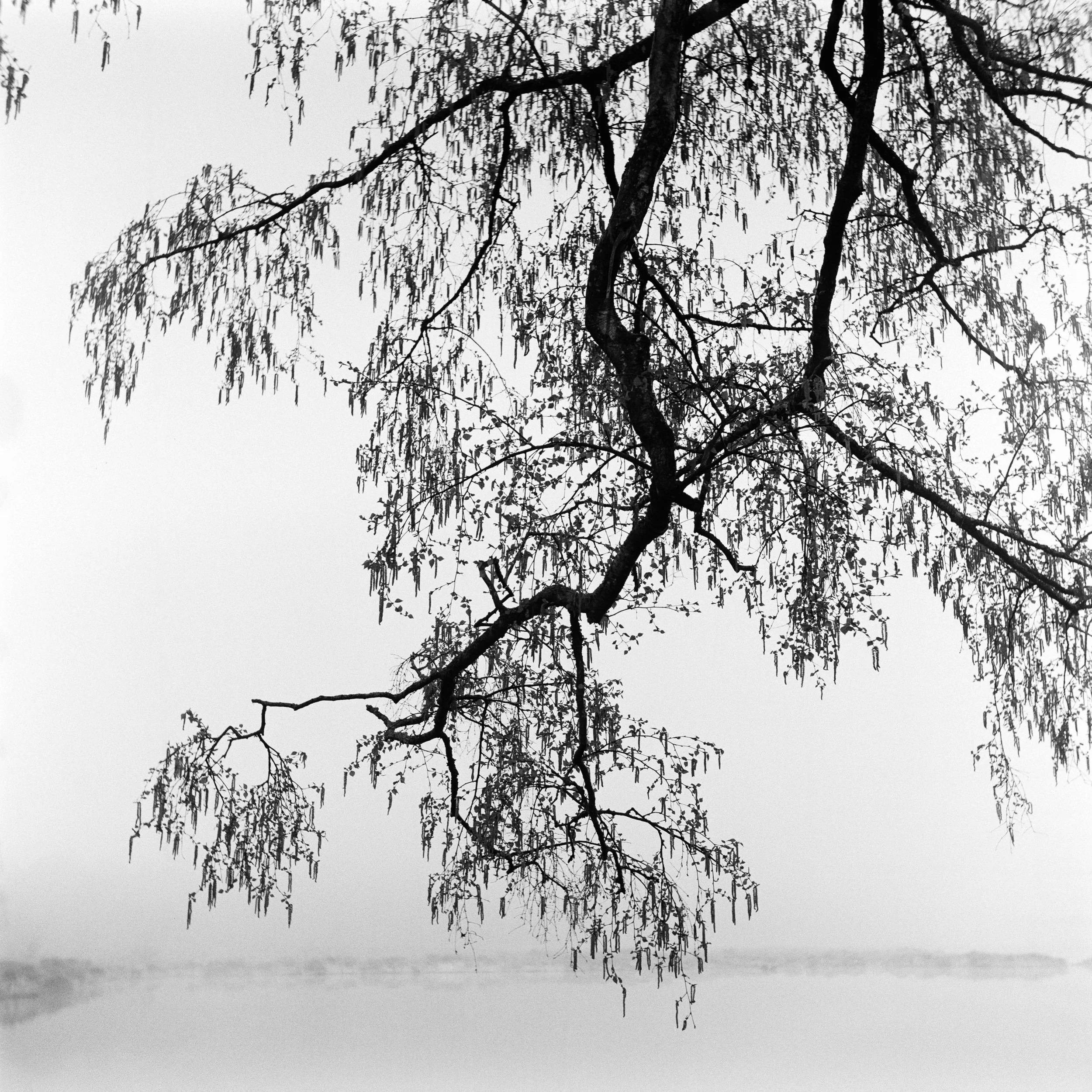 The Peatland_18.JPG