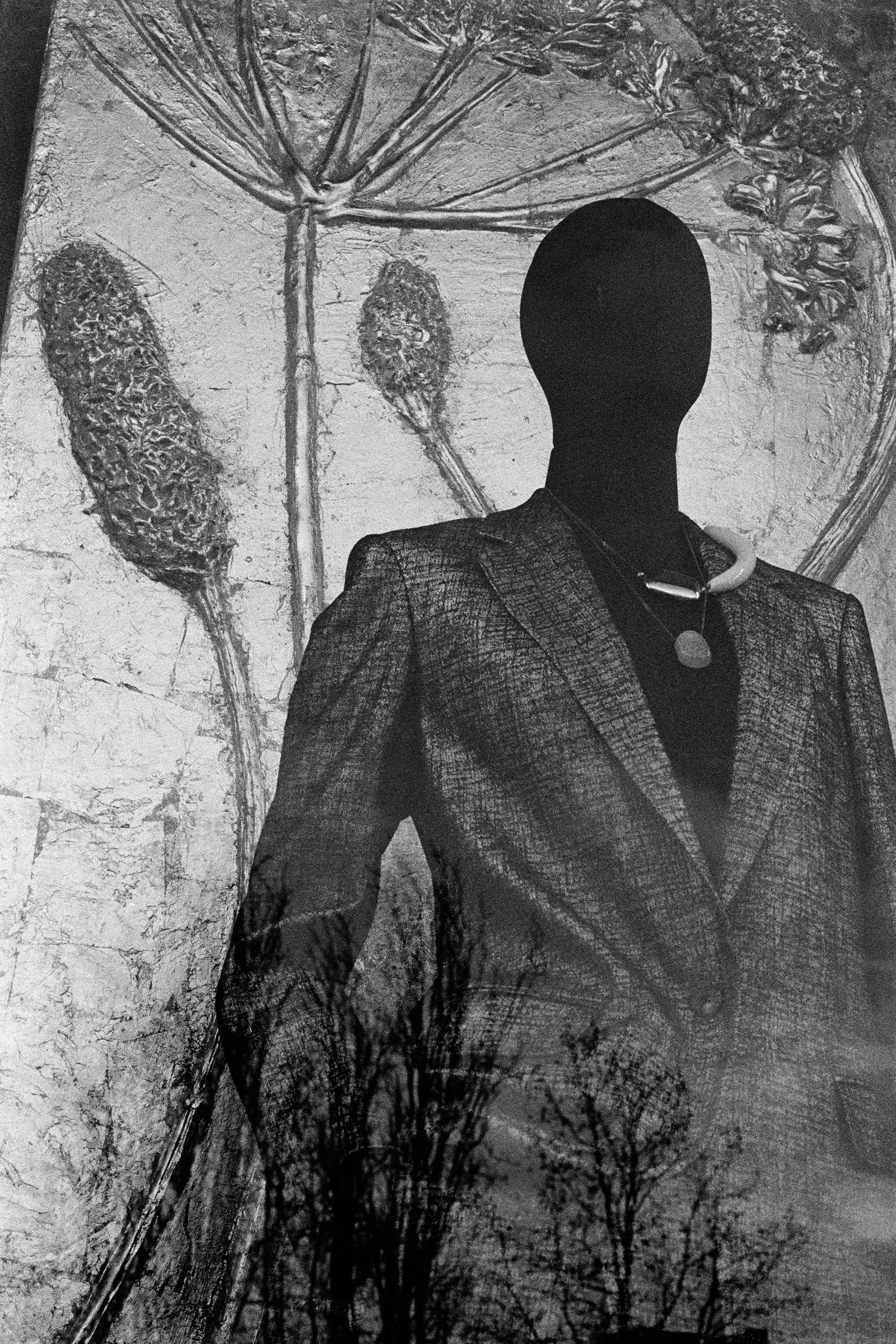 Window Shopper-2.JPG