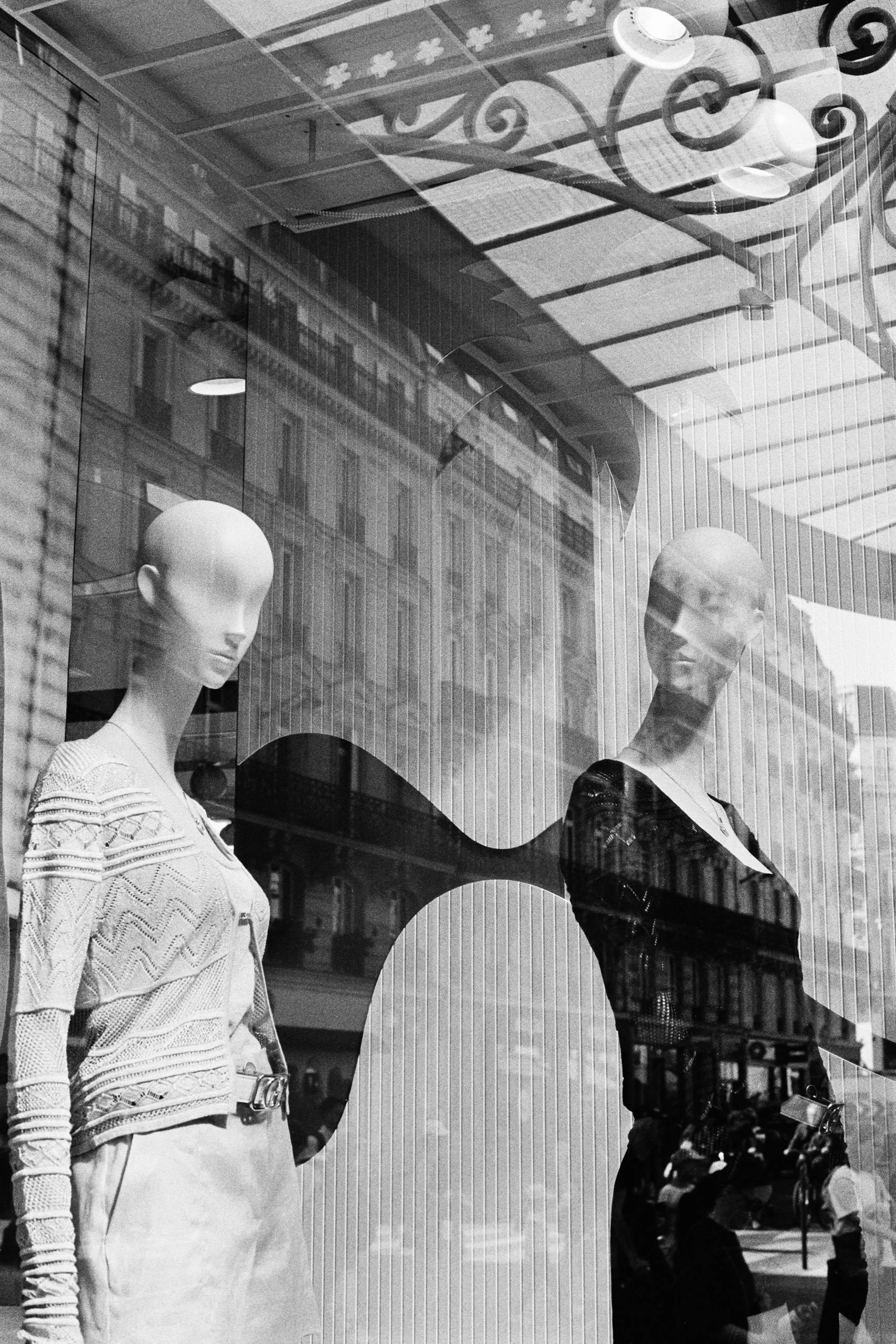 Window Shopper_9.JPG