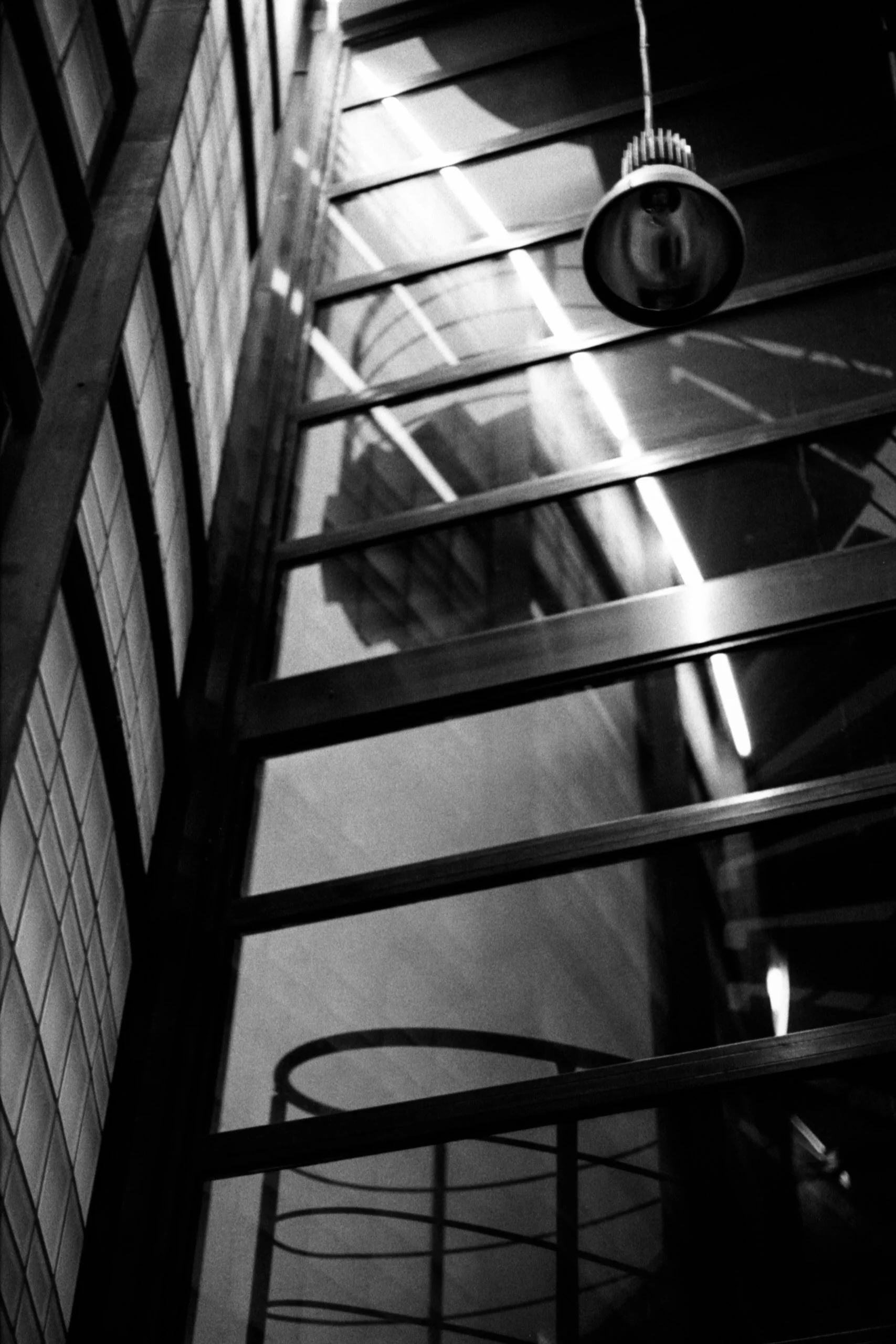 Window Shopper-20.JPG