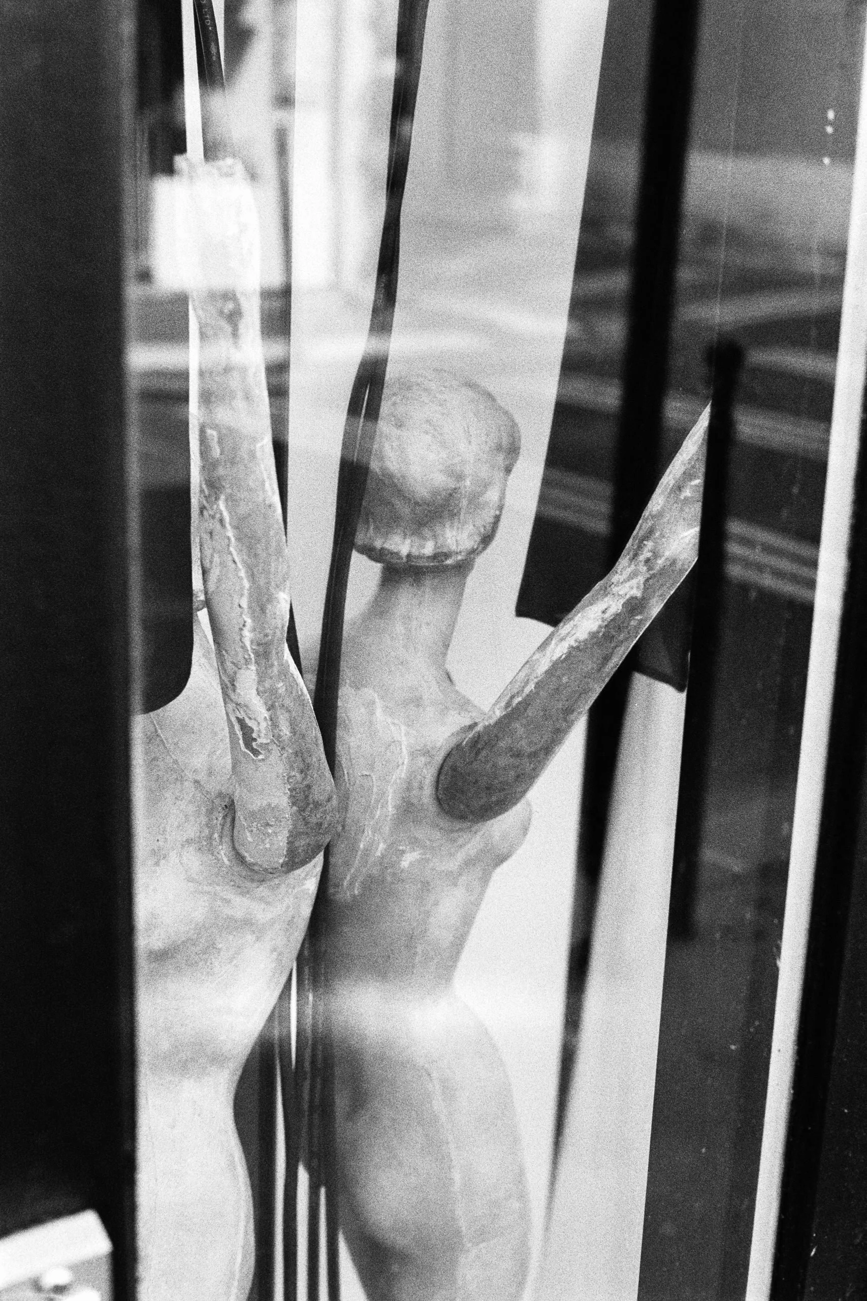 Window Shopper_40.JPG