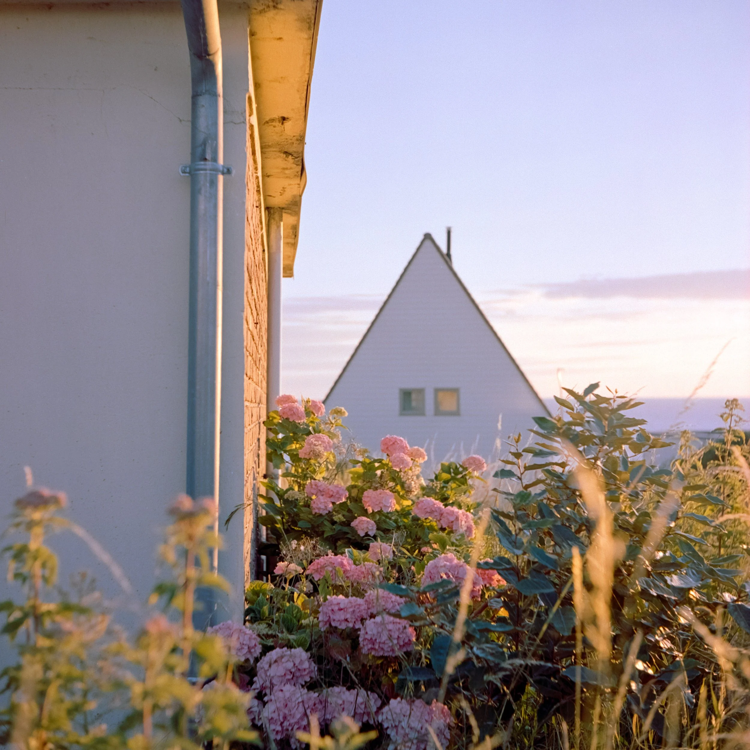 And When the Sun Shines North_35.JPG