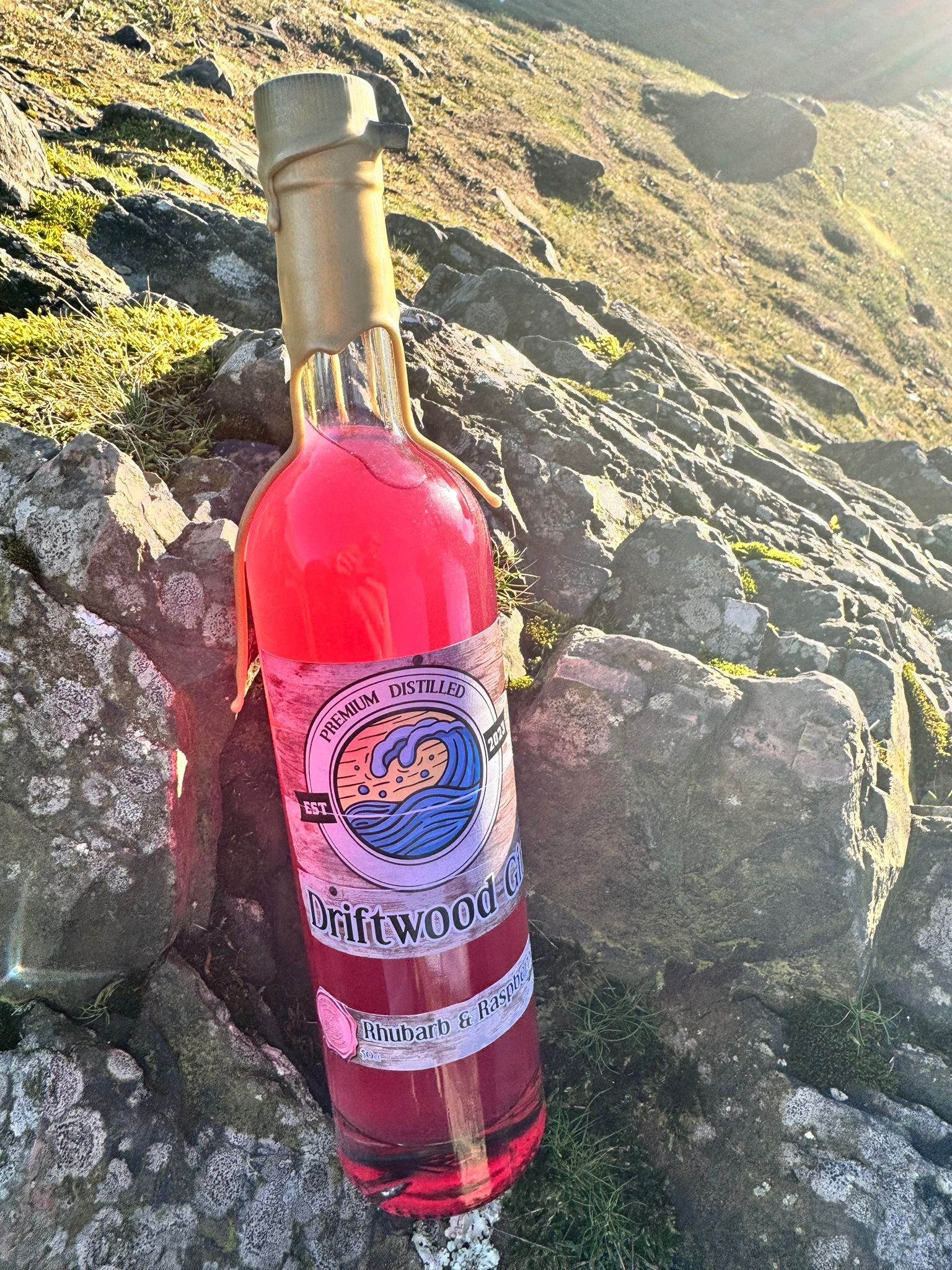 Rhubarb and raspberry .jpg