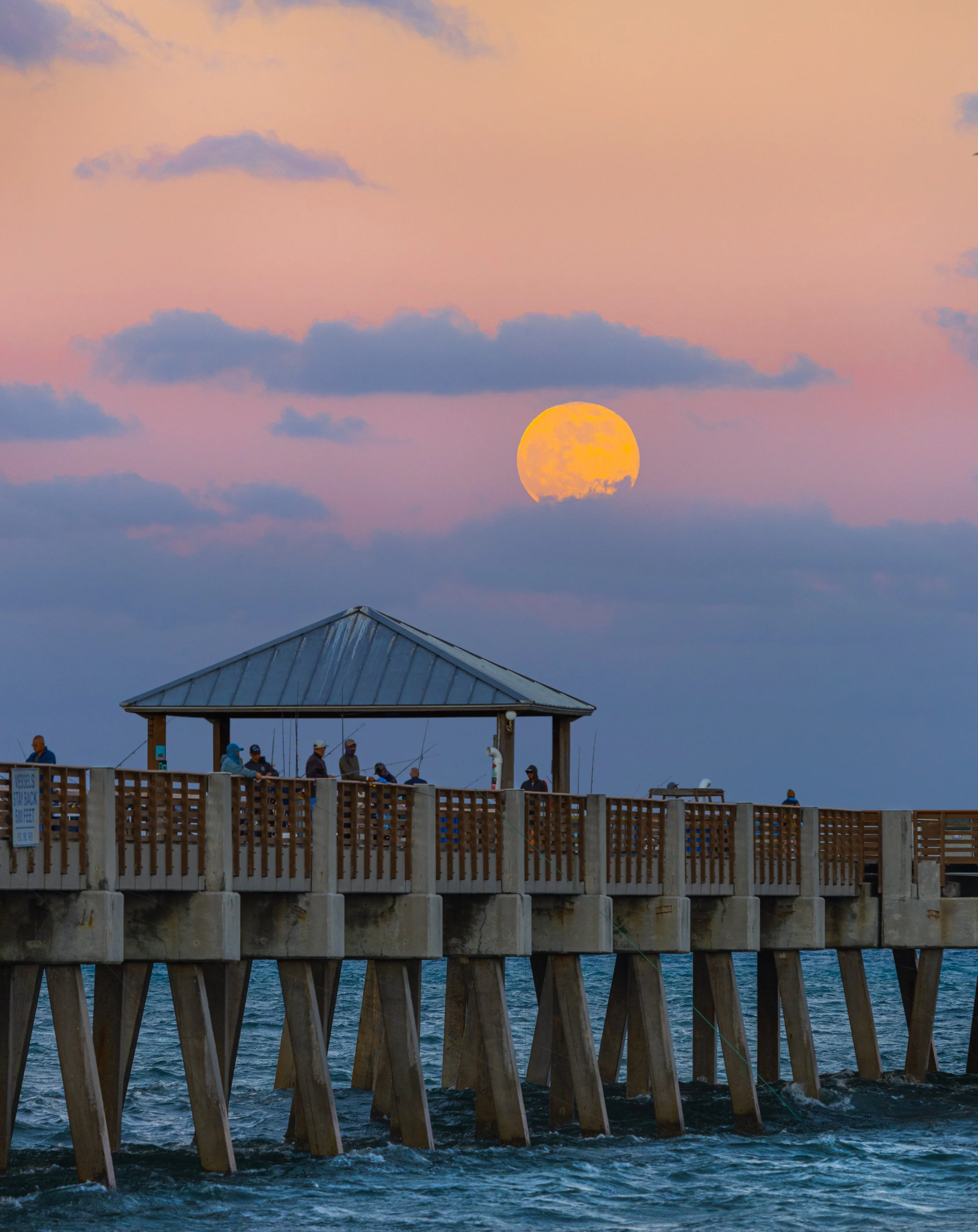 Photo Feb 14 2025, 4 25 19 PM (65).jpg