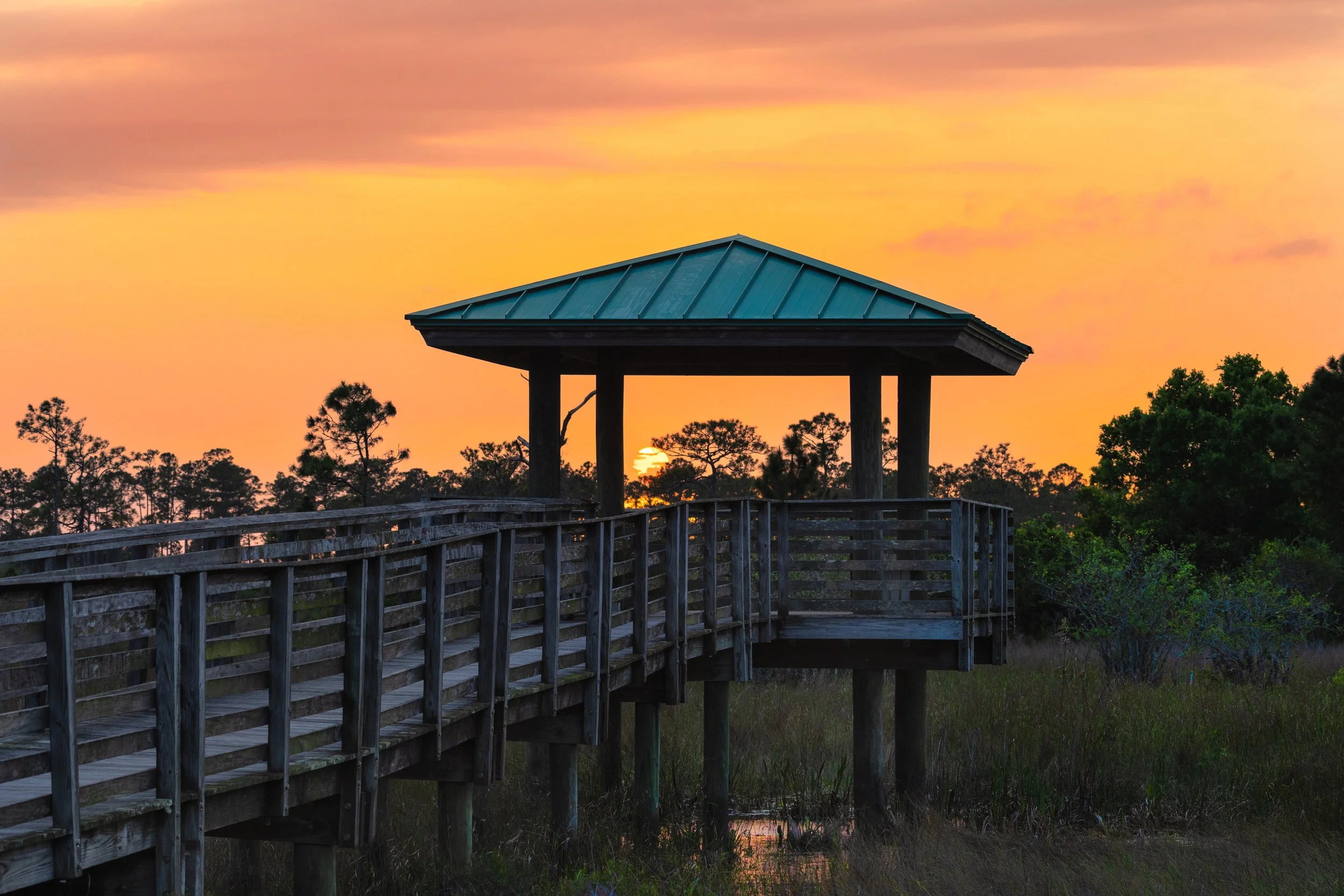 SweetBay Natural Area.jpg