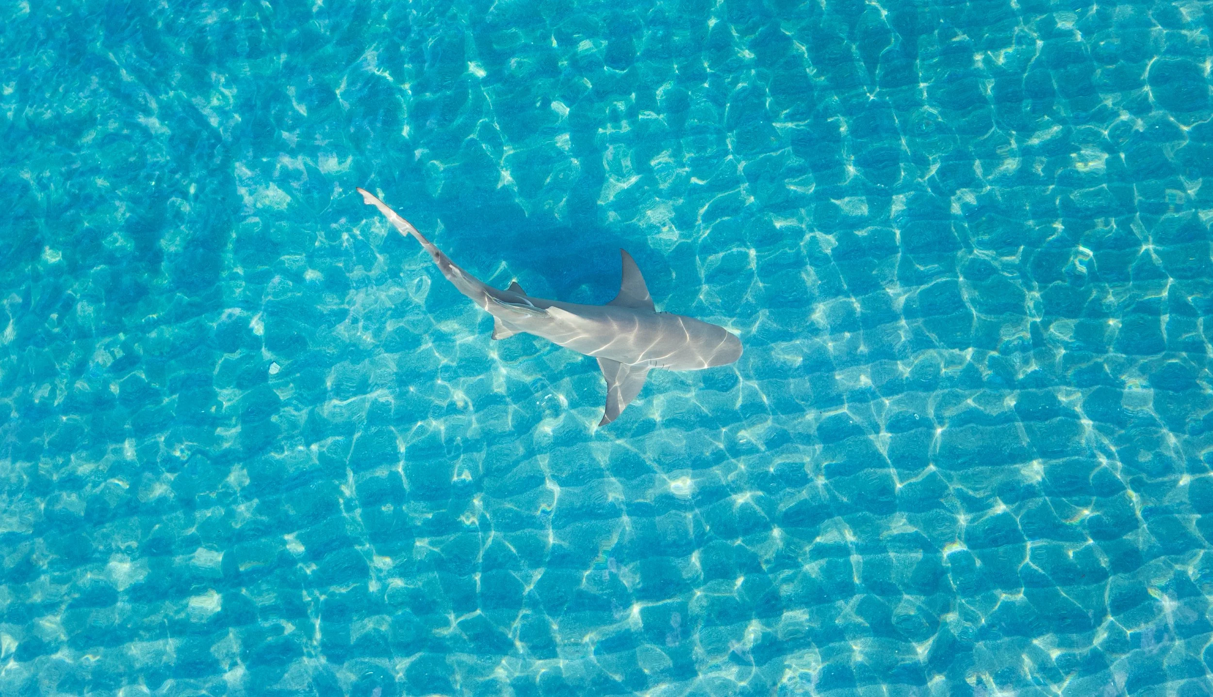 Photo Feb 14 2025, 4 25 19 PM (15).jpg