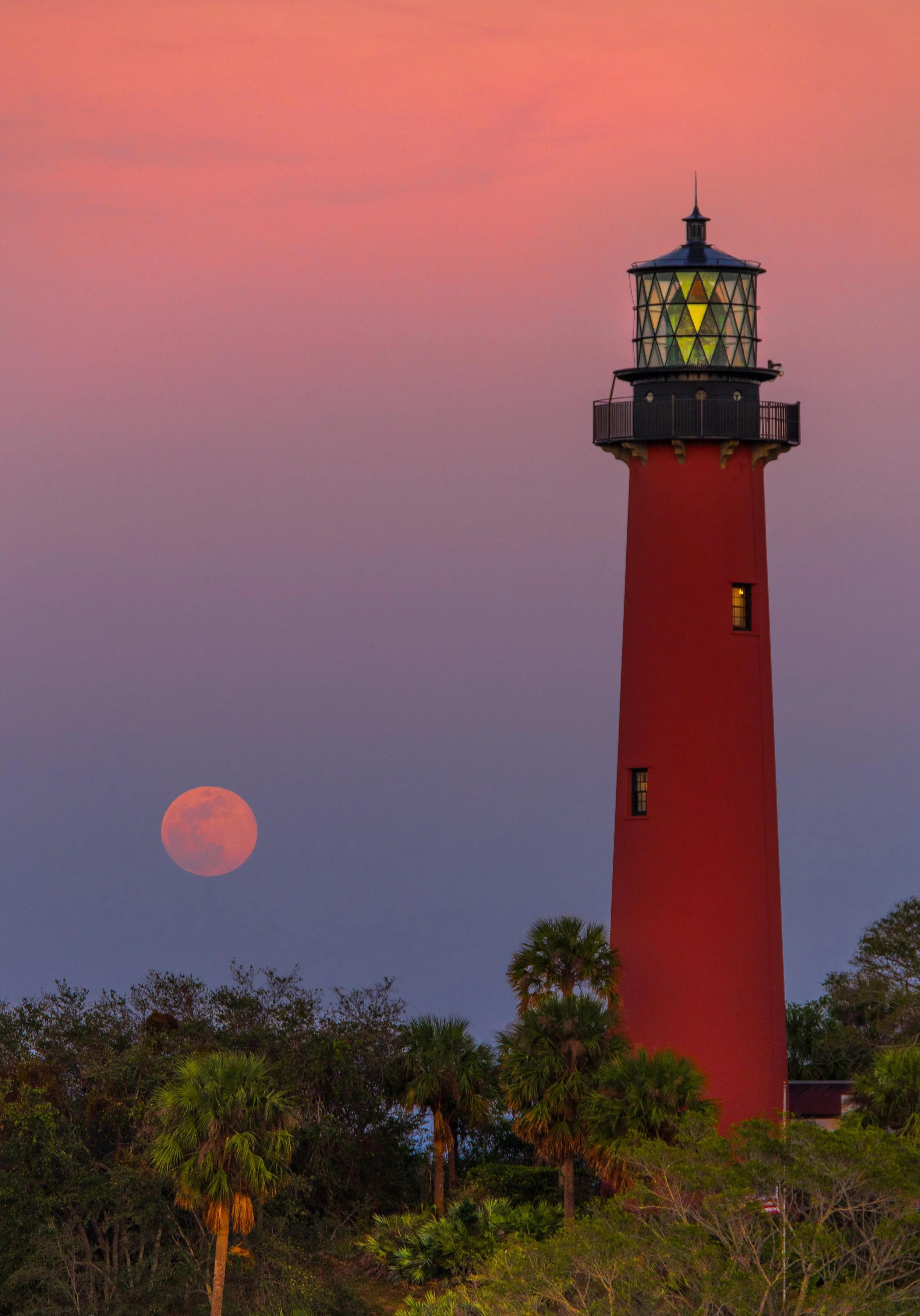 Photo Feb 14 2025, 4 25 19 PM (37).jpg