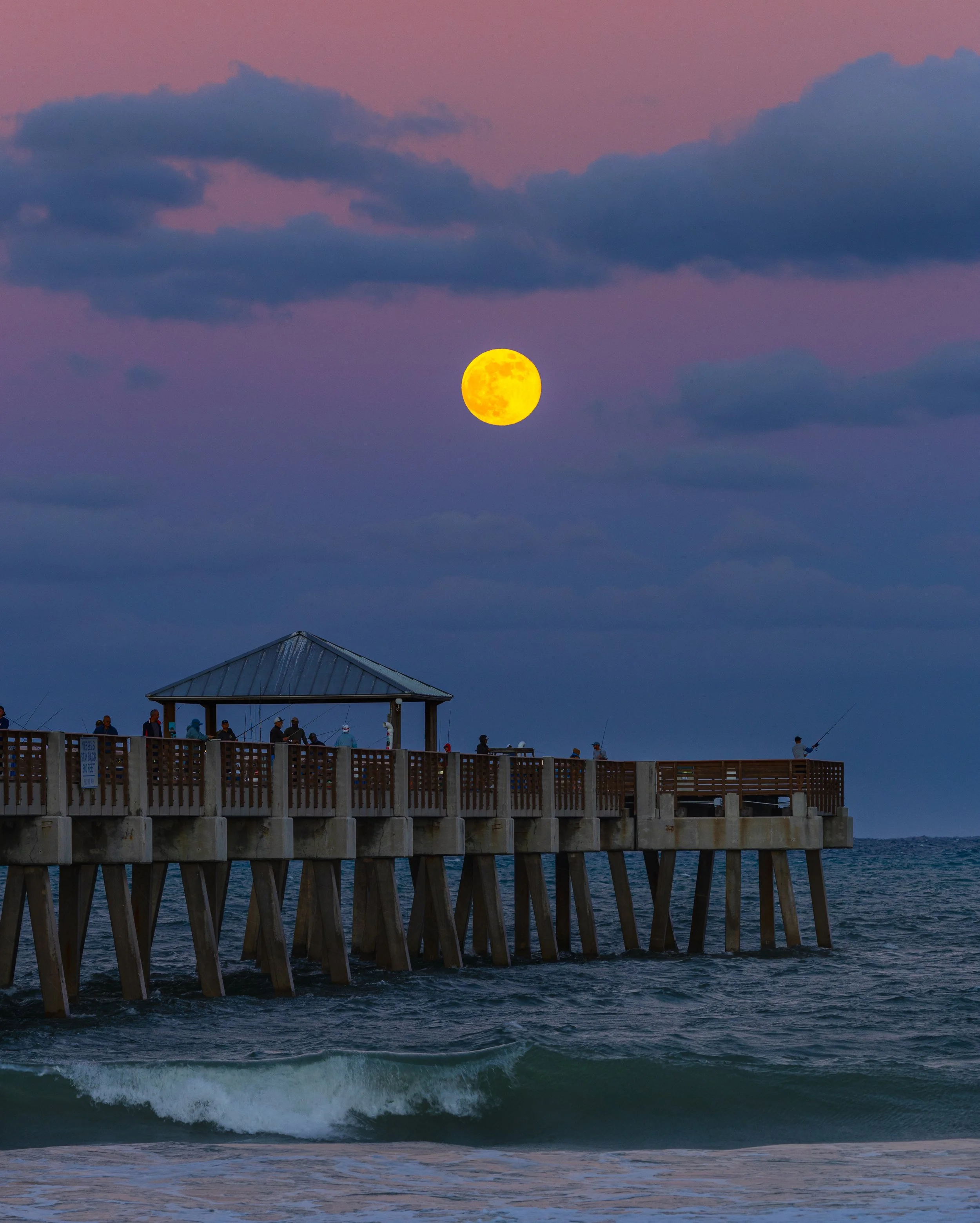 Photo Feb 14 2025, 4 25 19 PM (63).jpg