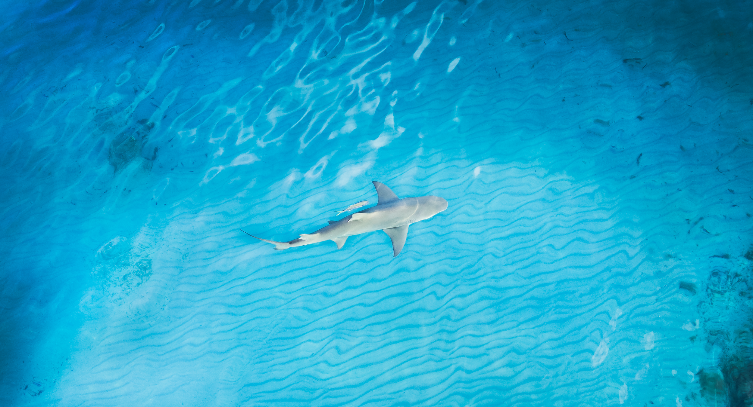 Photo Feb 14 2025, 4 25 19 PM (23).png