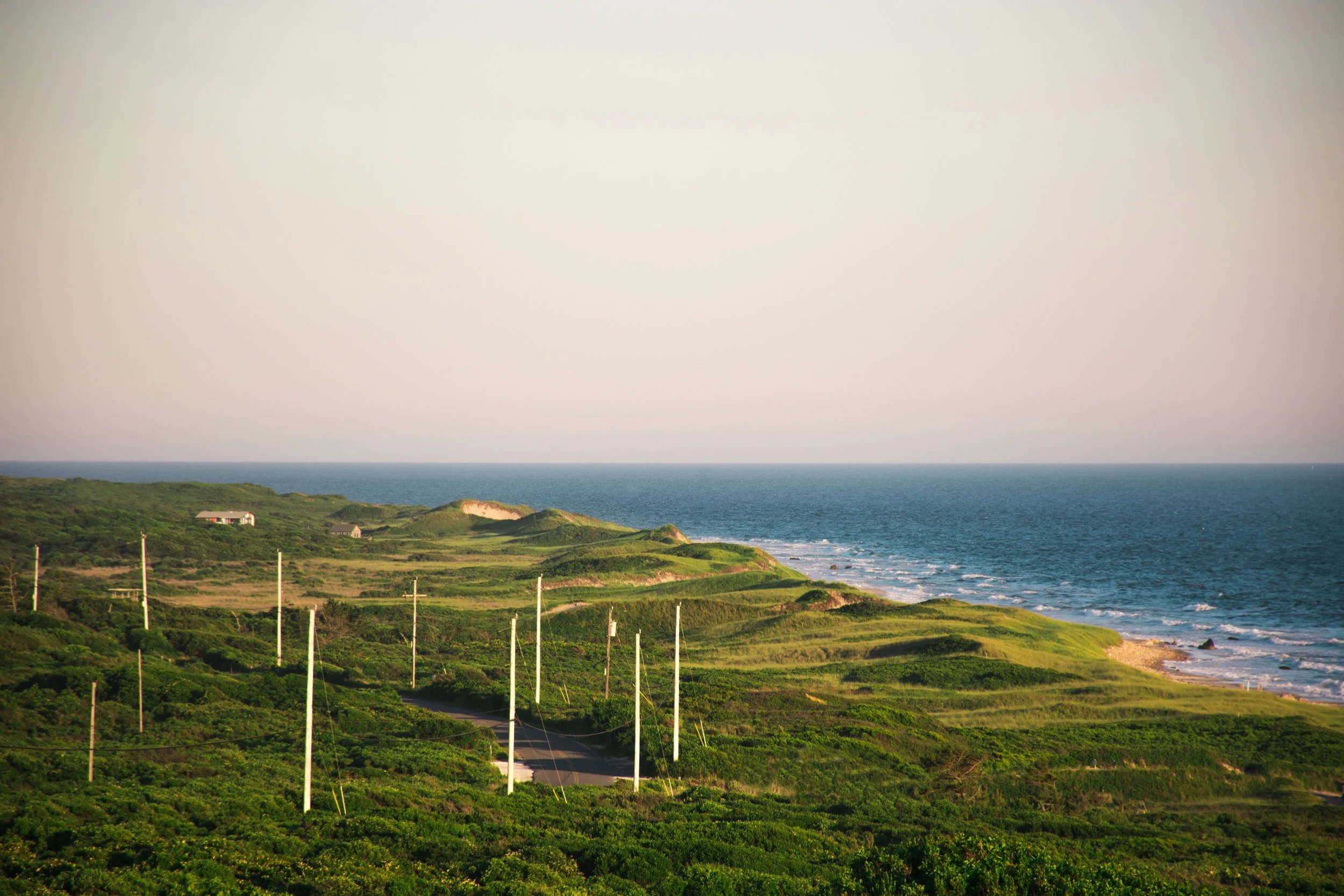 vineyard overlook.jpg