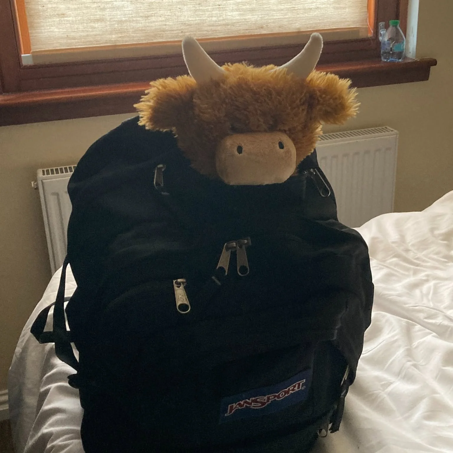 June 2026 Newsletter - Scotland is Always a Good Idea