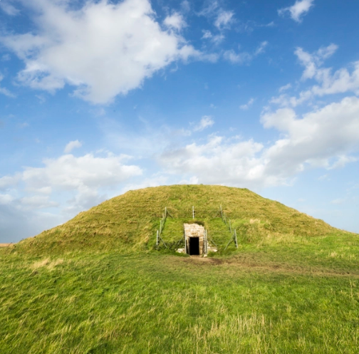 July 2026 Newsletter - Small Spaces, Big Feelings