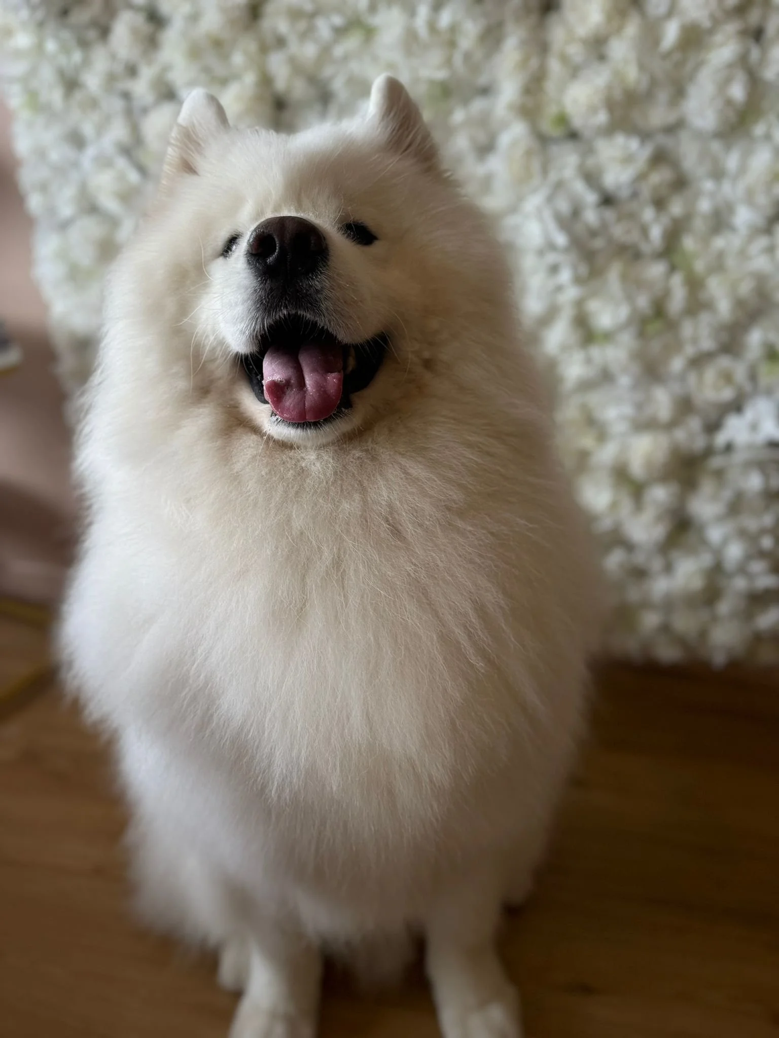 WhatsApp Image 2024-04-28 à 15.46.50_8d14ffa0.jpg