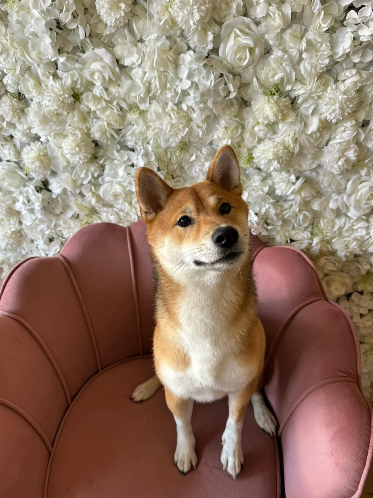 WhatsApp Image 2024-02-26 à 12.29.16_237b98ea.jpg