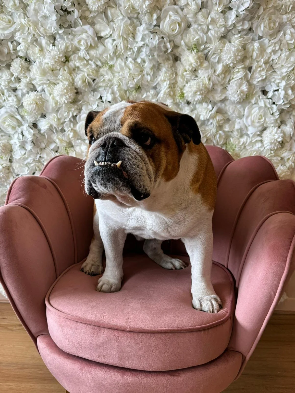 WhatsApp Image 2024-02-26 à 12.29.16_ba48fd35.jpg