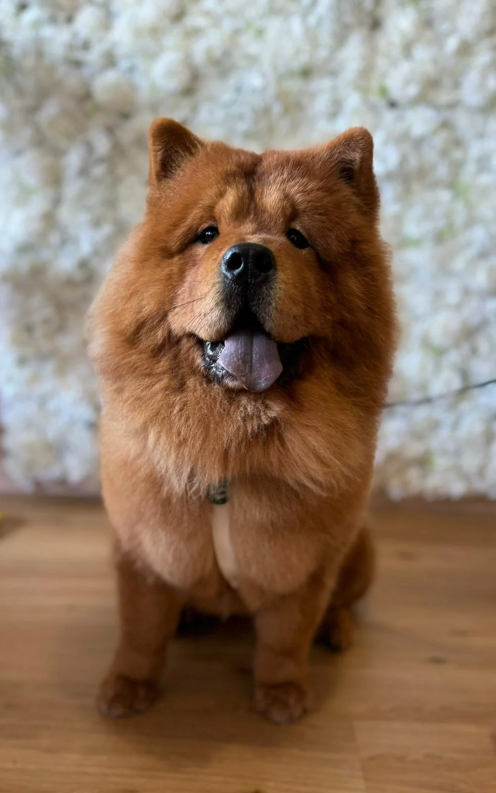 WhatsApp Image 2024-01-29 à 11.09.40_af34750c.jpg