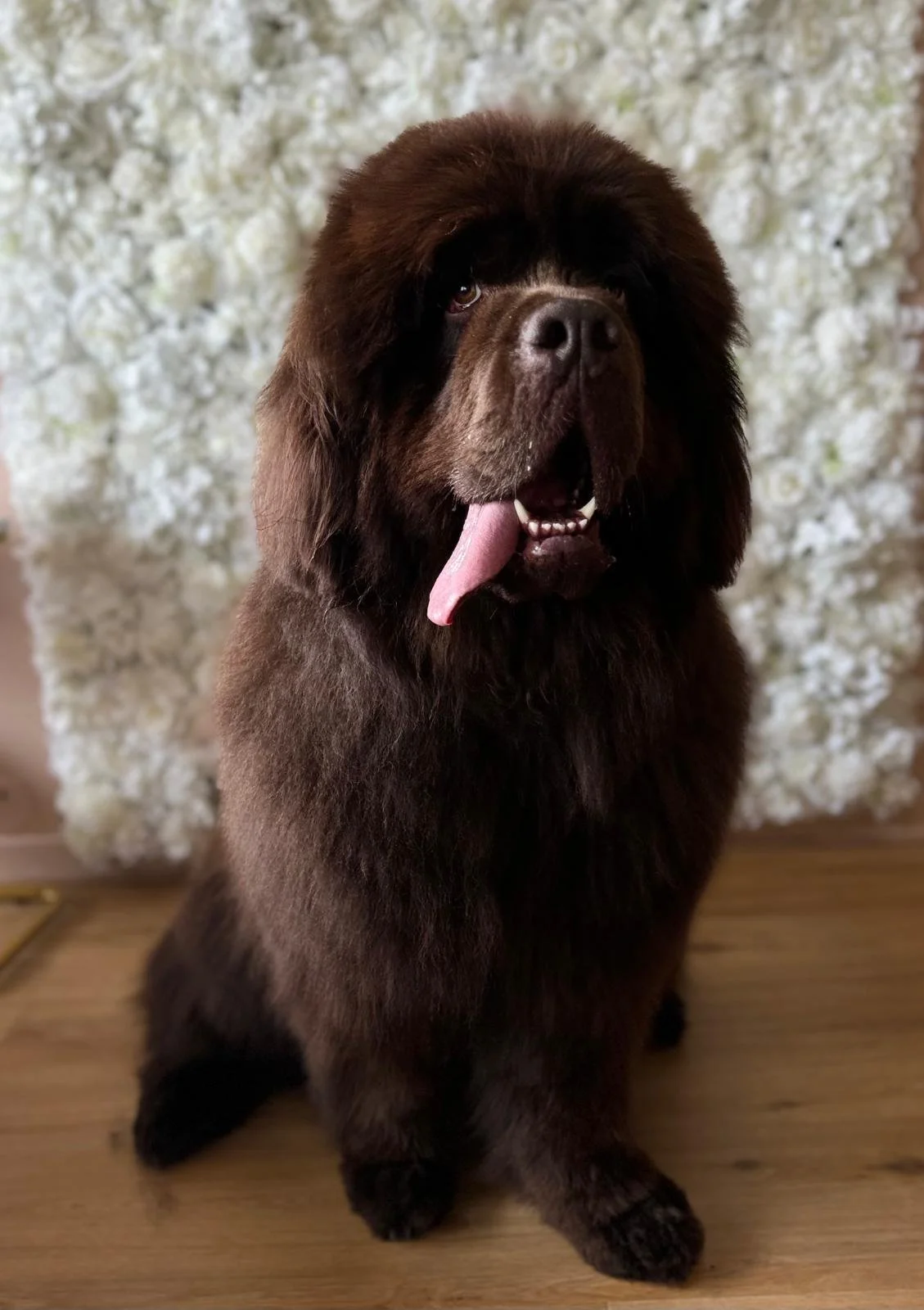 WhatsApp Image 2024-07-03 à 14.56.18_f141570e.jpg