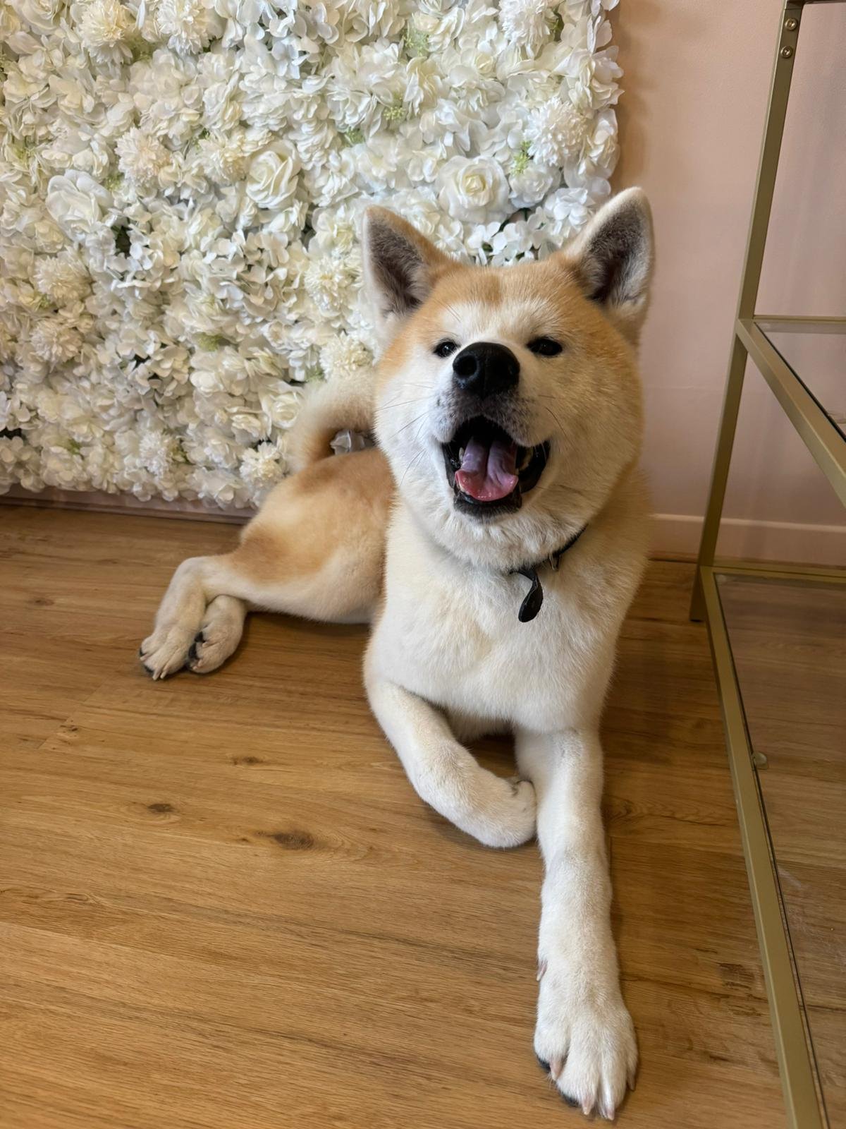 WhatsApp Image 2024-01-24 à 16.17.05_9f611525.jpg