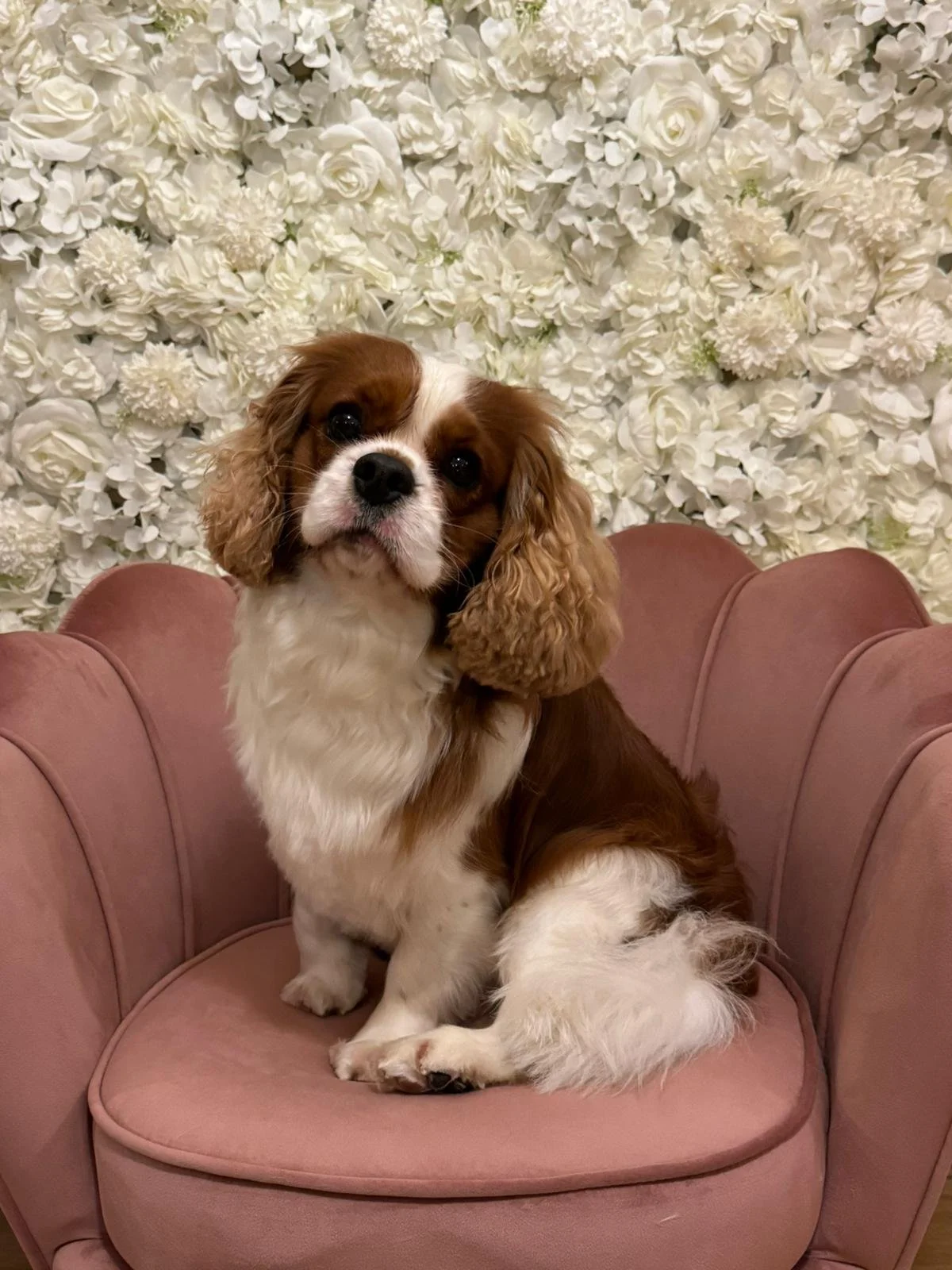 WhatsApp Image 2024-01-22 à 15.06.28_7a73f1c9.jpg