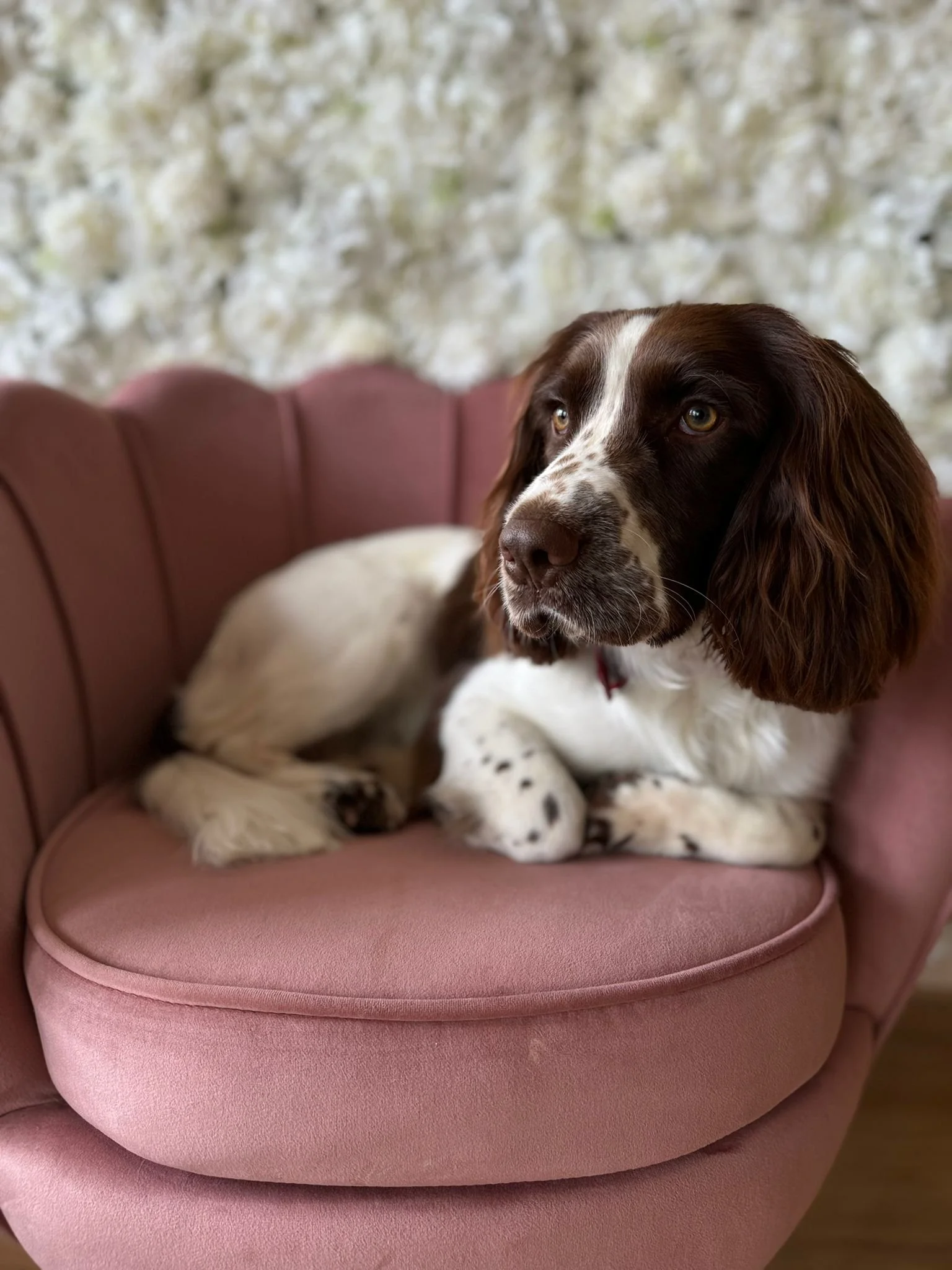 WhatsApp Image 2024-04-28 à 15.46.51_72d66fe1.jpg