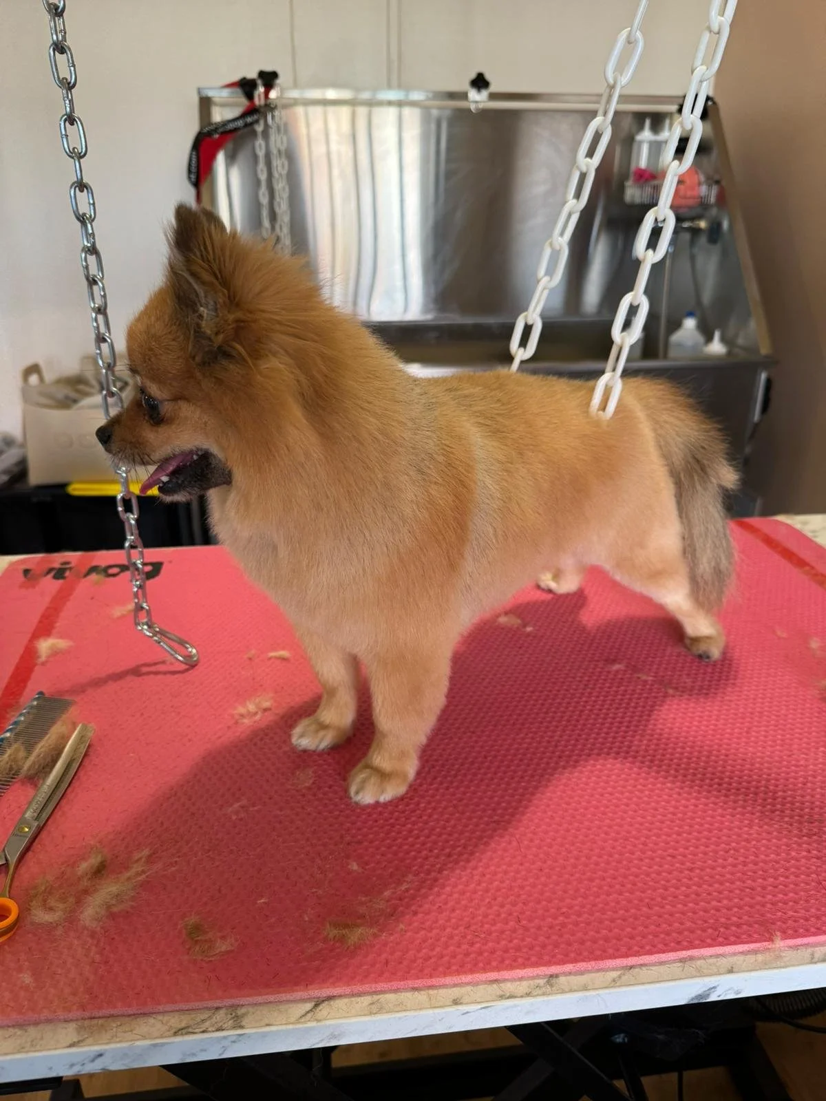 WhatsApp Image 2024-01-19 à 15.07.02_3dd5cdcb.jpg