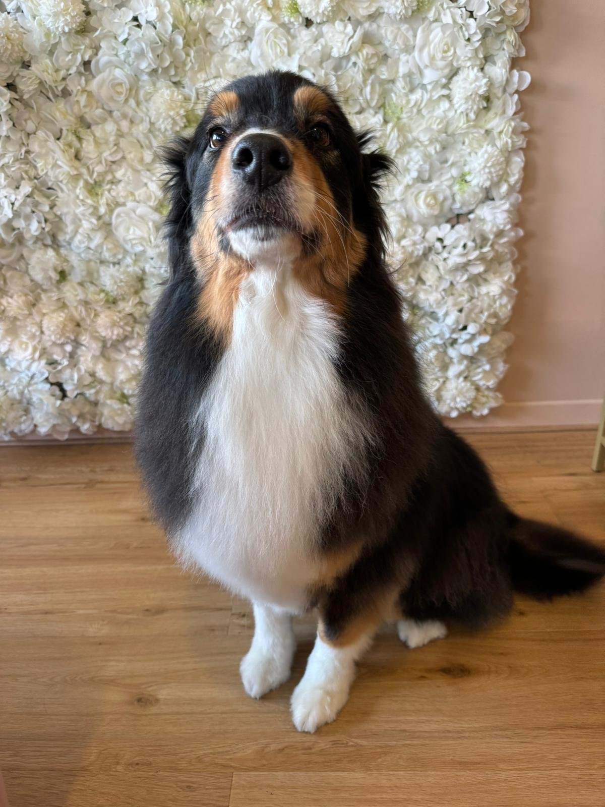 WhatsApp Image 2024-01-29 à 11.09.41_6223869c.jpg