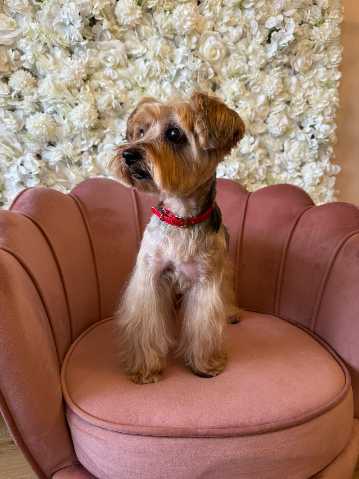 WhatsApp Image 2024-02-26 à 12.29.39_47b0ec30.jpg