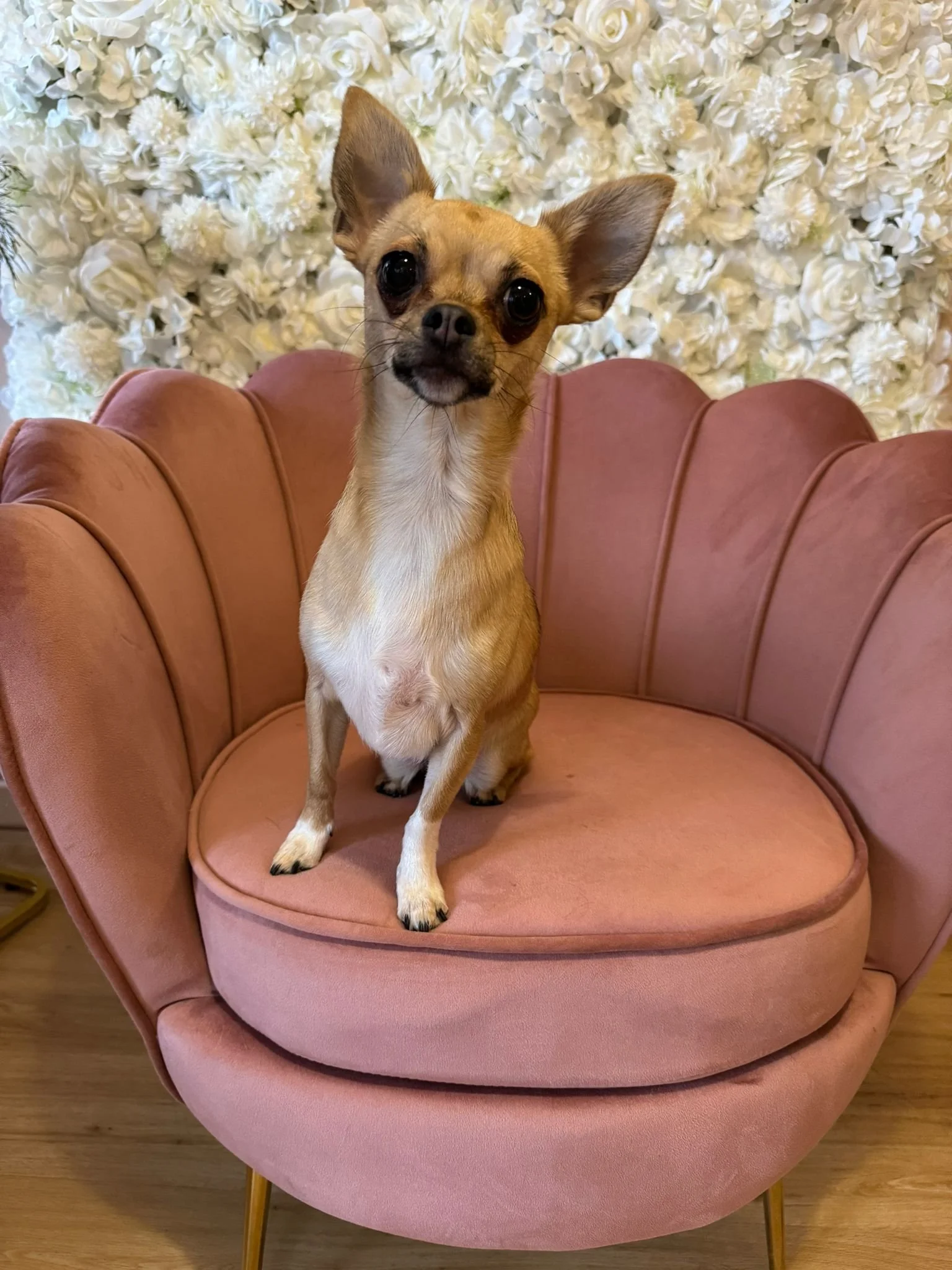 WhatsApp Image 2024-01-25 à 17.39.59_24f3936f.jpg