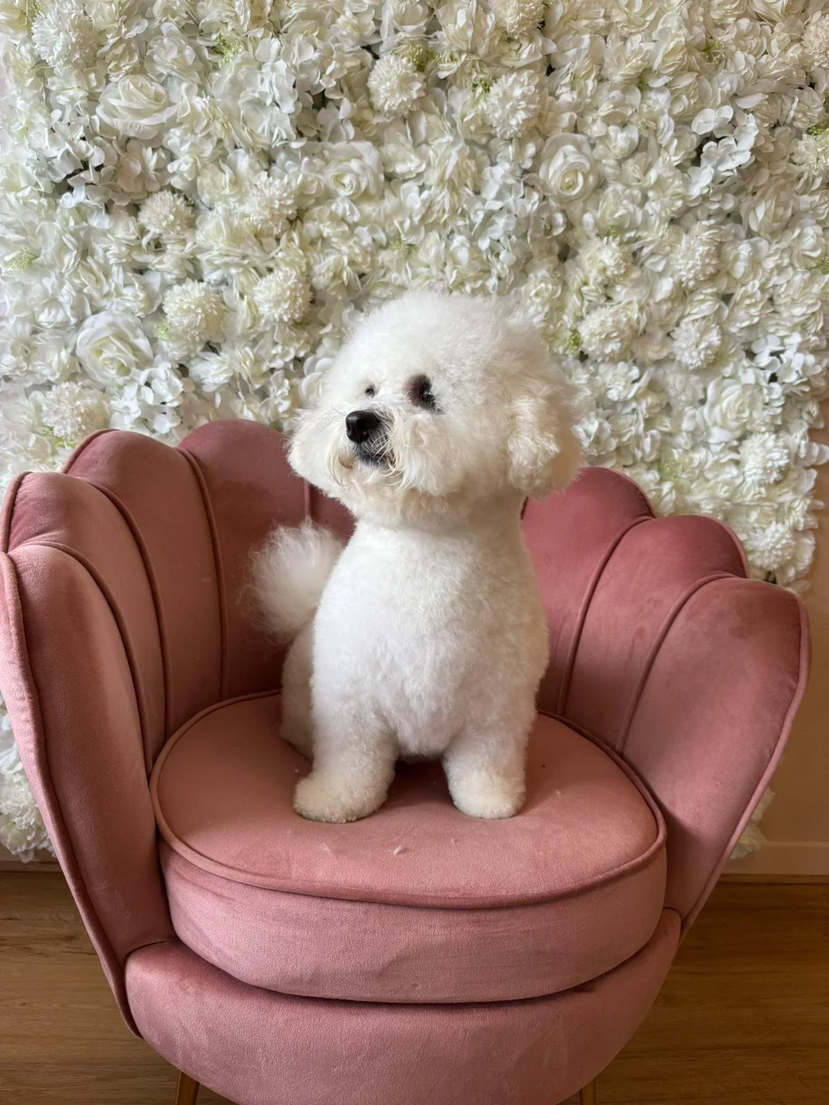 WhatsApp Image 2024-02-26 à 12.29.14_e31345d9.jpg