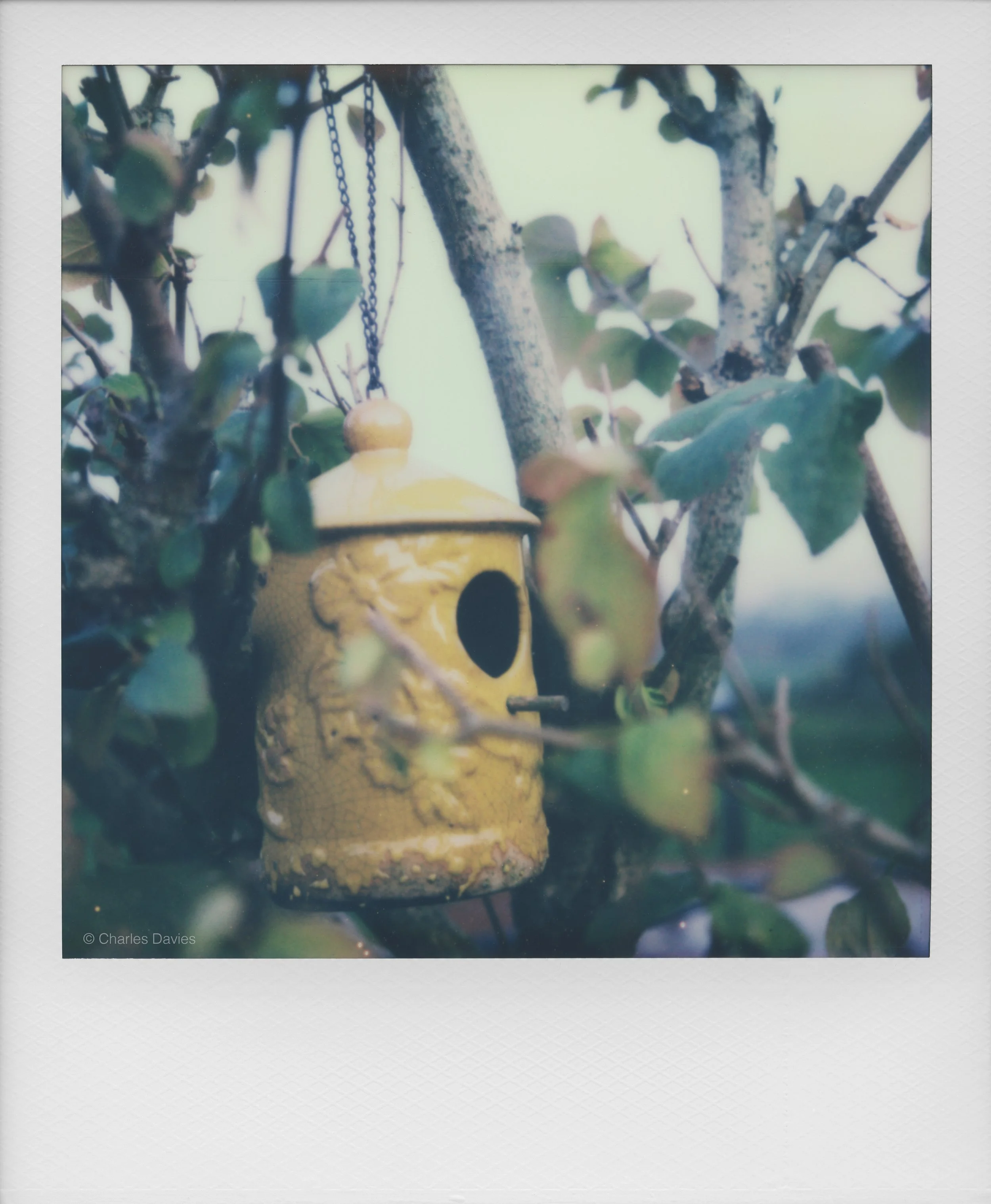 49 - 2022 - Polaroid SX-70.jpg
