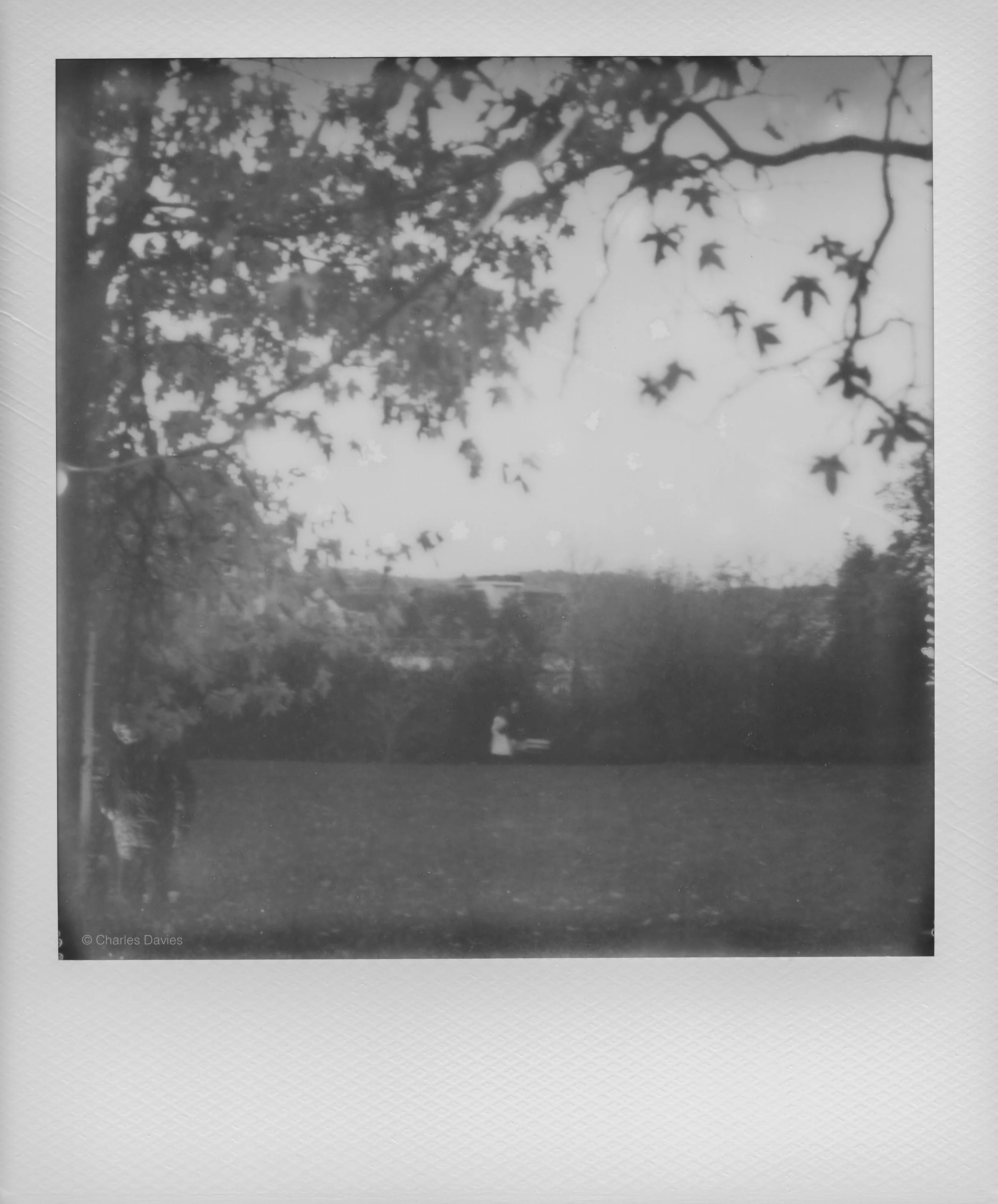 106 - 2022 - Polaroid SX-70.jpg