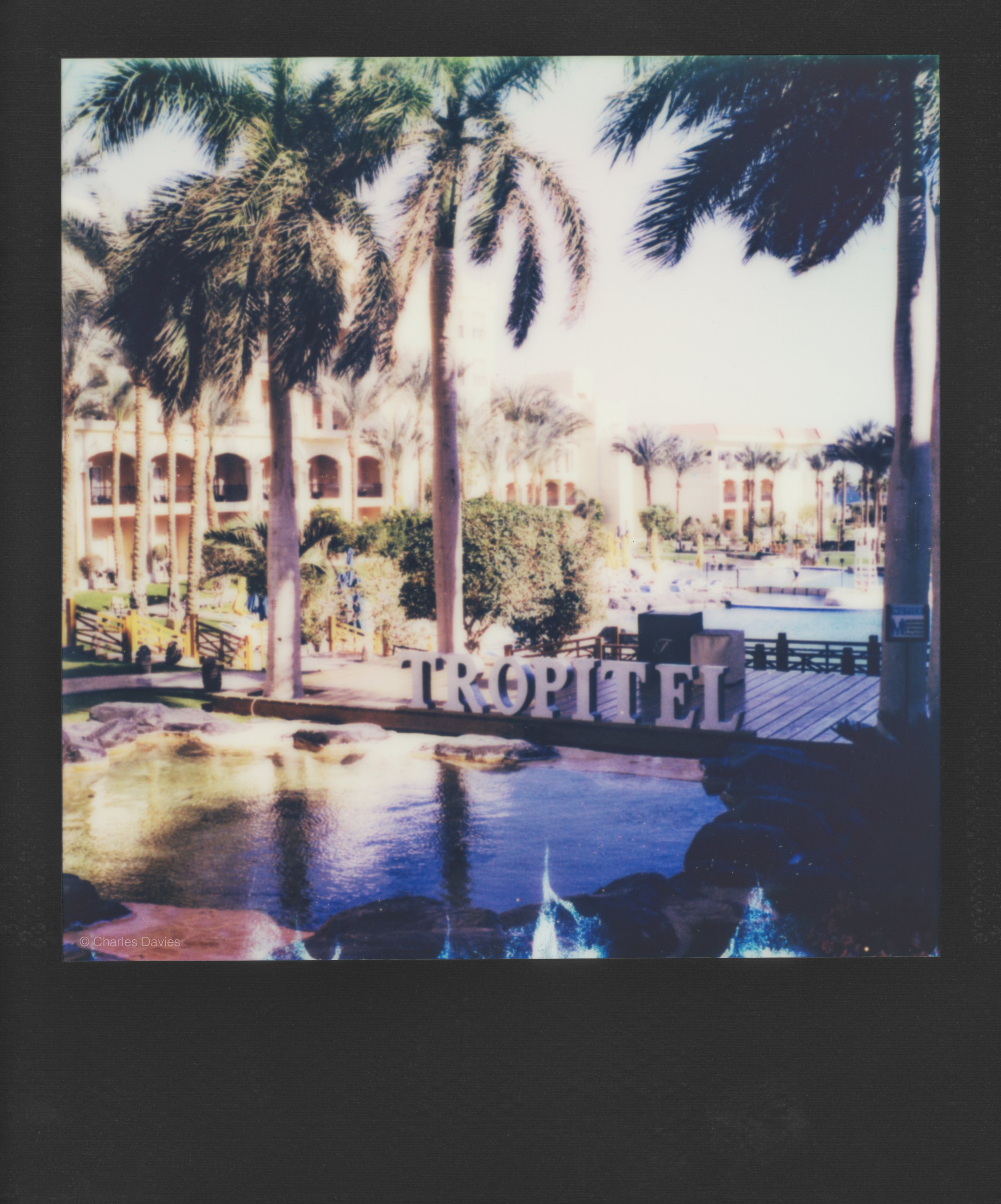 24 - 2023 - Polaroid SX-70.jpg