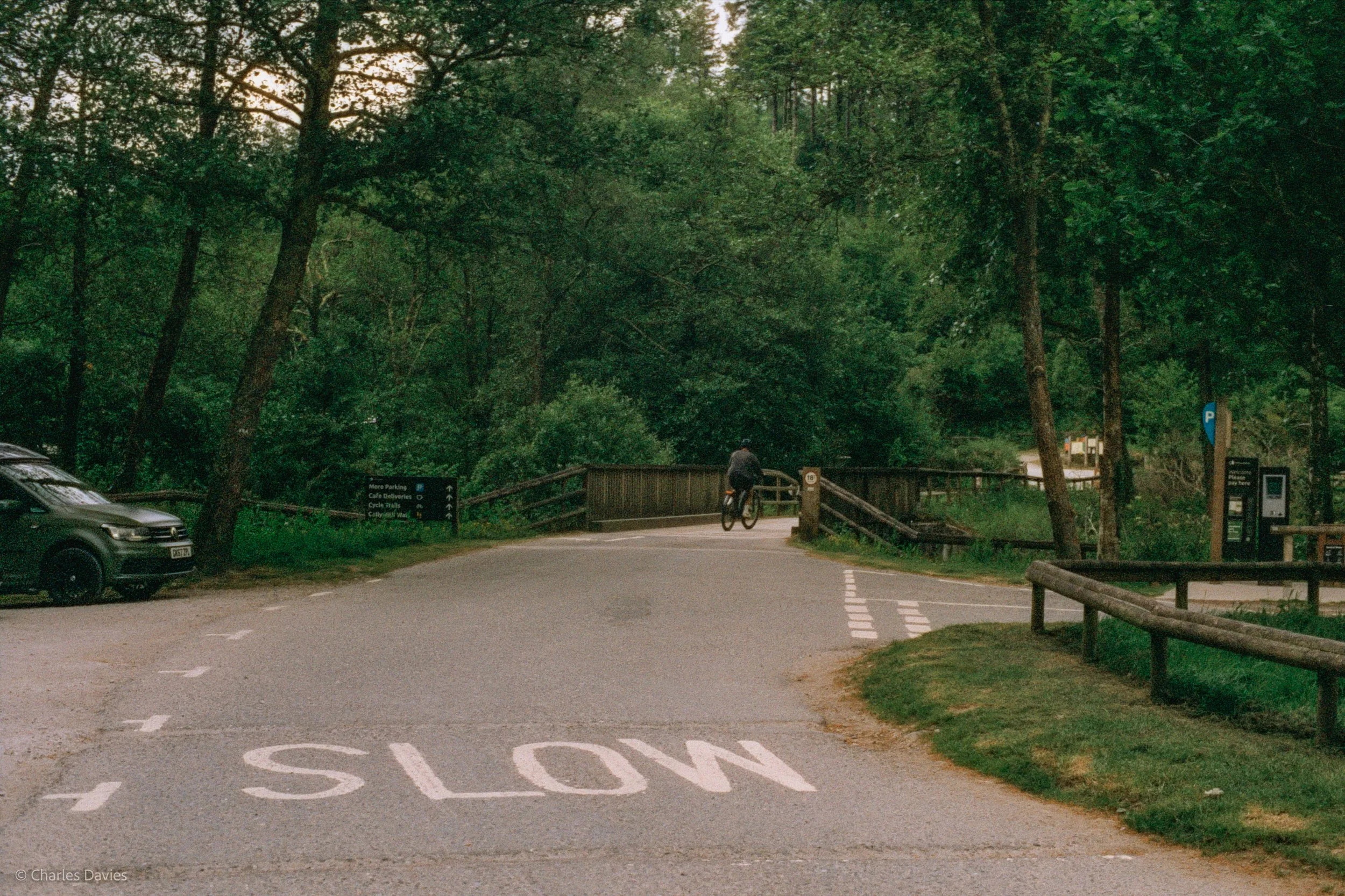 Roll 30 - 2025 - Europe - United Kingdom - Cardinham - Harman Phoenix 200 - Contax RTS - 35mm - Film - Colour