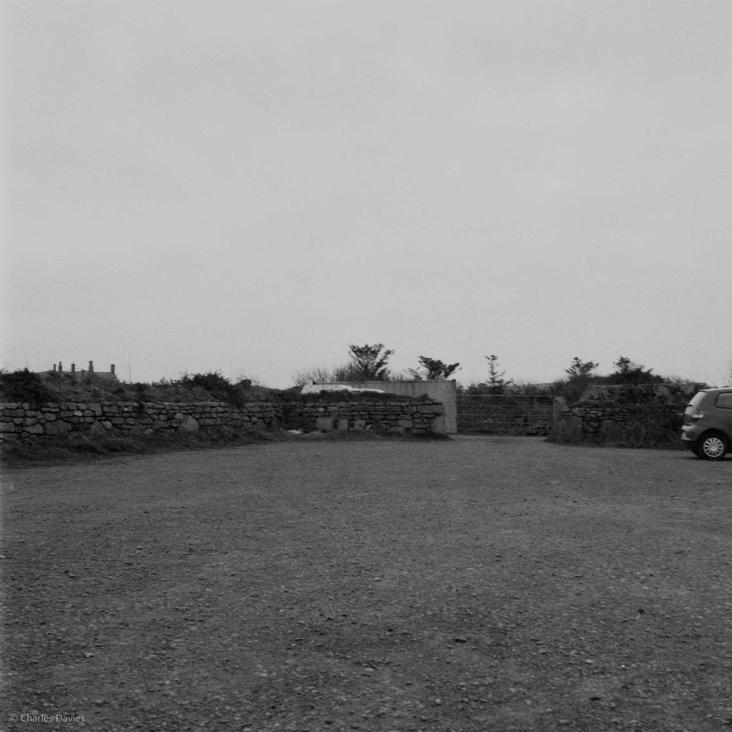 Image-5.jpg
