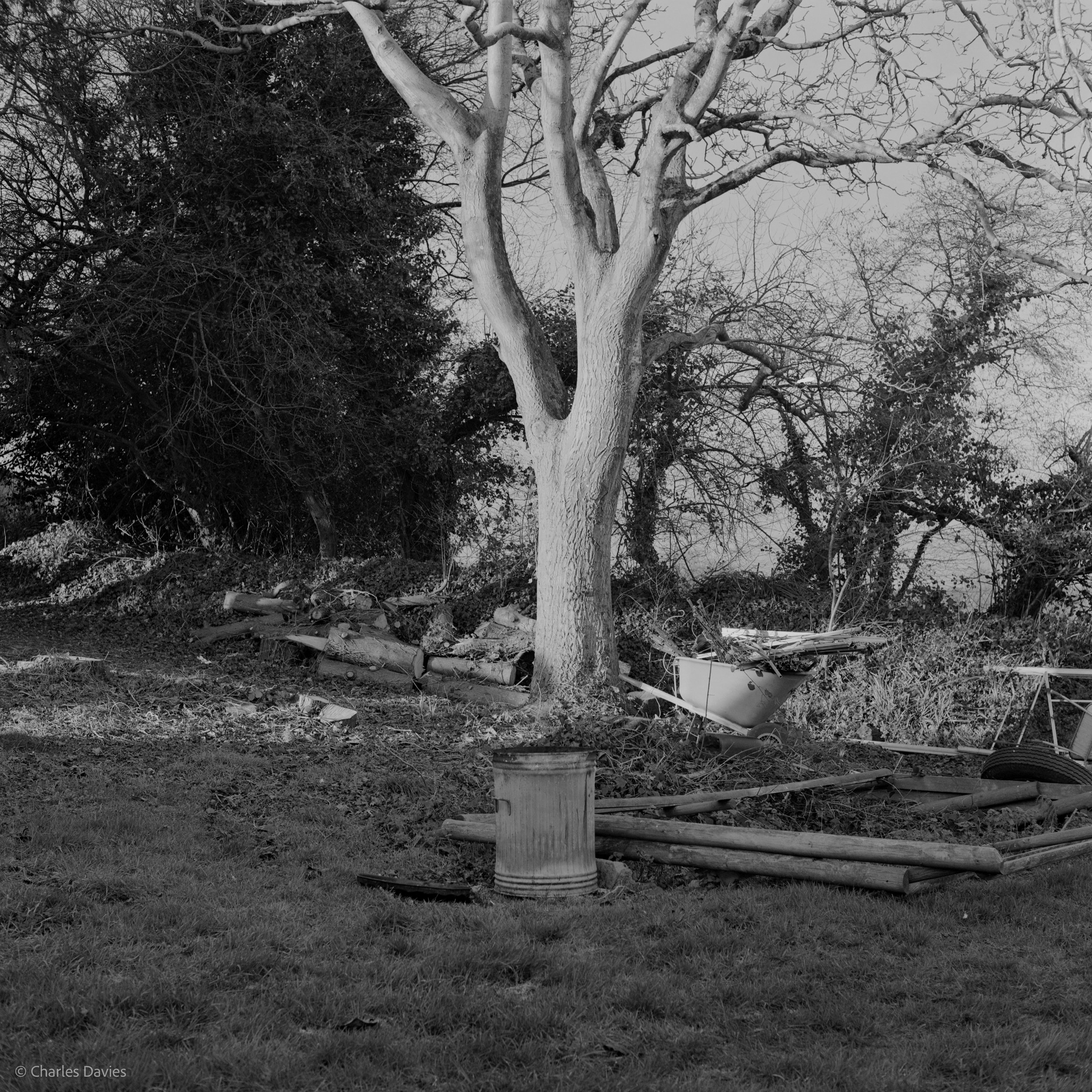 Shot 5 - Home 