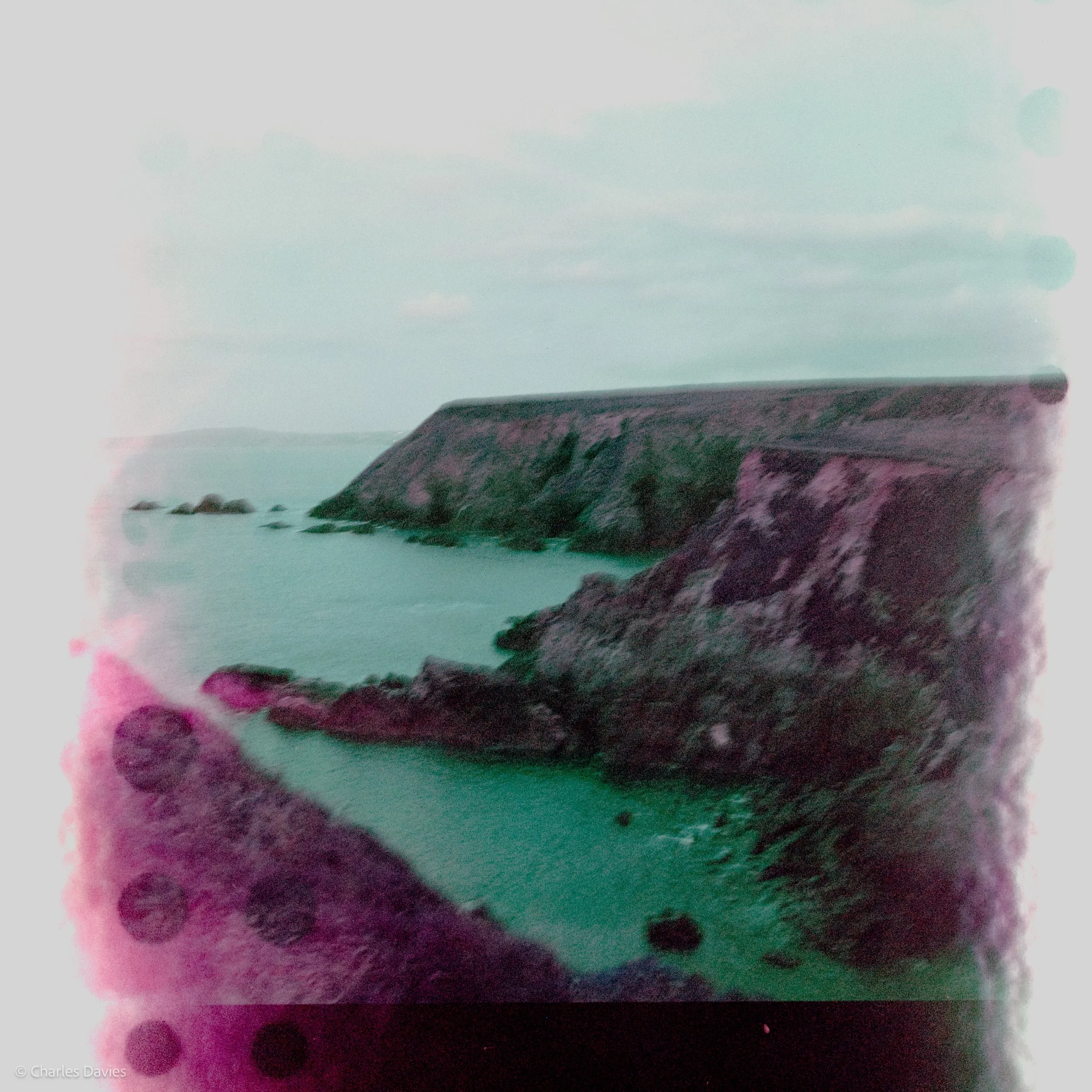 Image-11.jpg