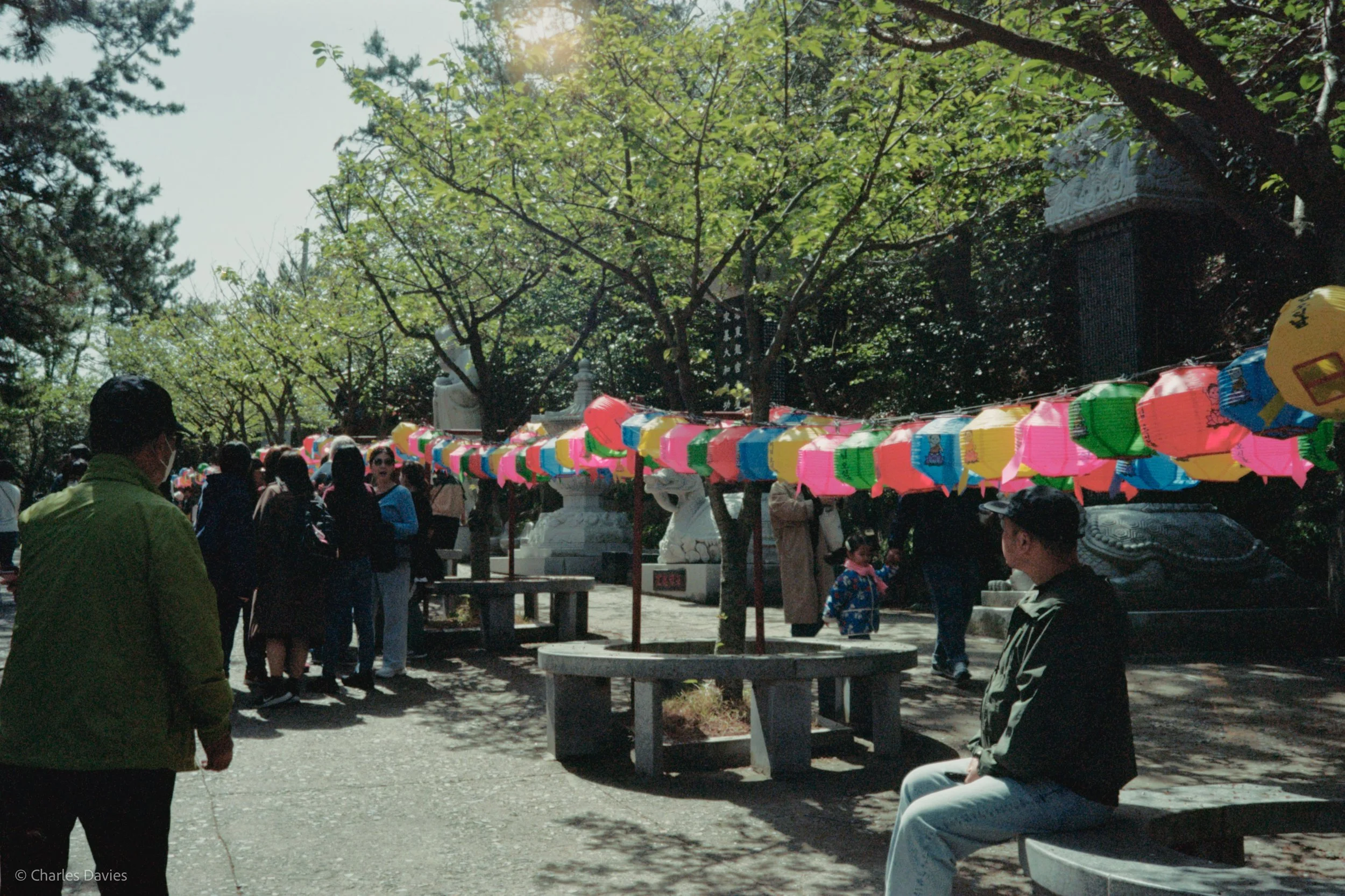 Roll 6 - 2023 - South East Asia - South Korea - Busan - Kodak Portra 160 - Olympus 35DC - 35mm - Film - Colour 