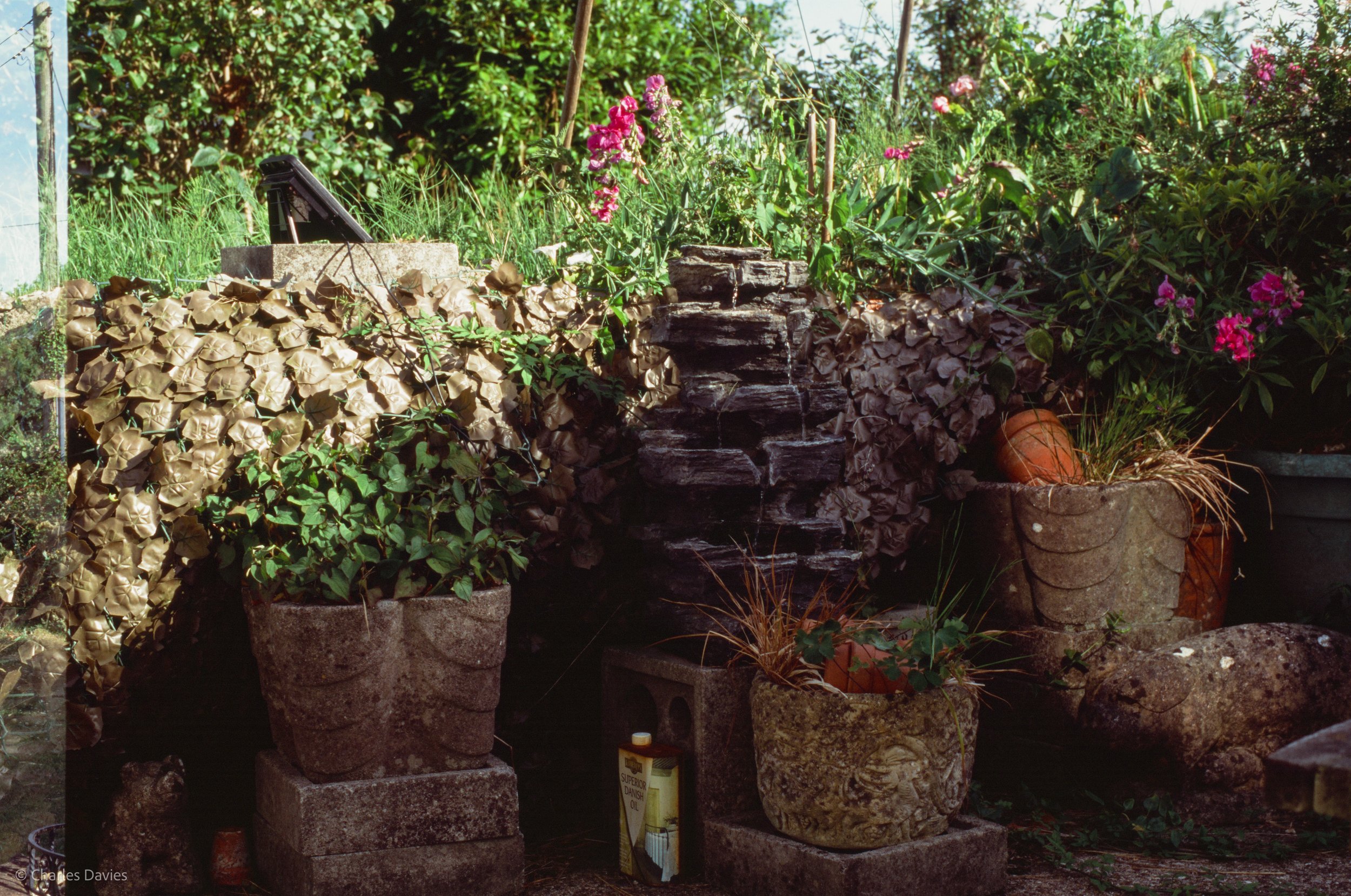 Roll 41 - 2025 - Europe - United Kingdom - Shute - Fujifilm Velvia 100 - Contax RTS - 35mm - Film - Colour - Colour Reversal/Slide Film
