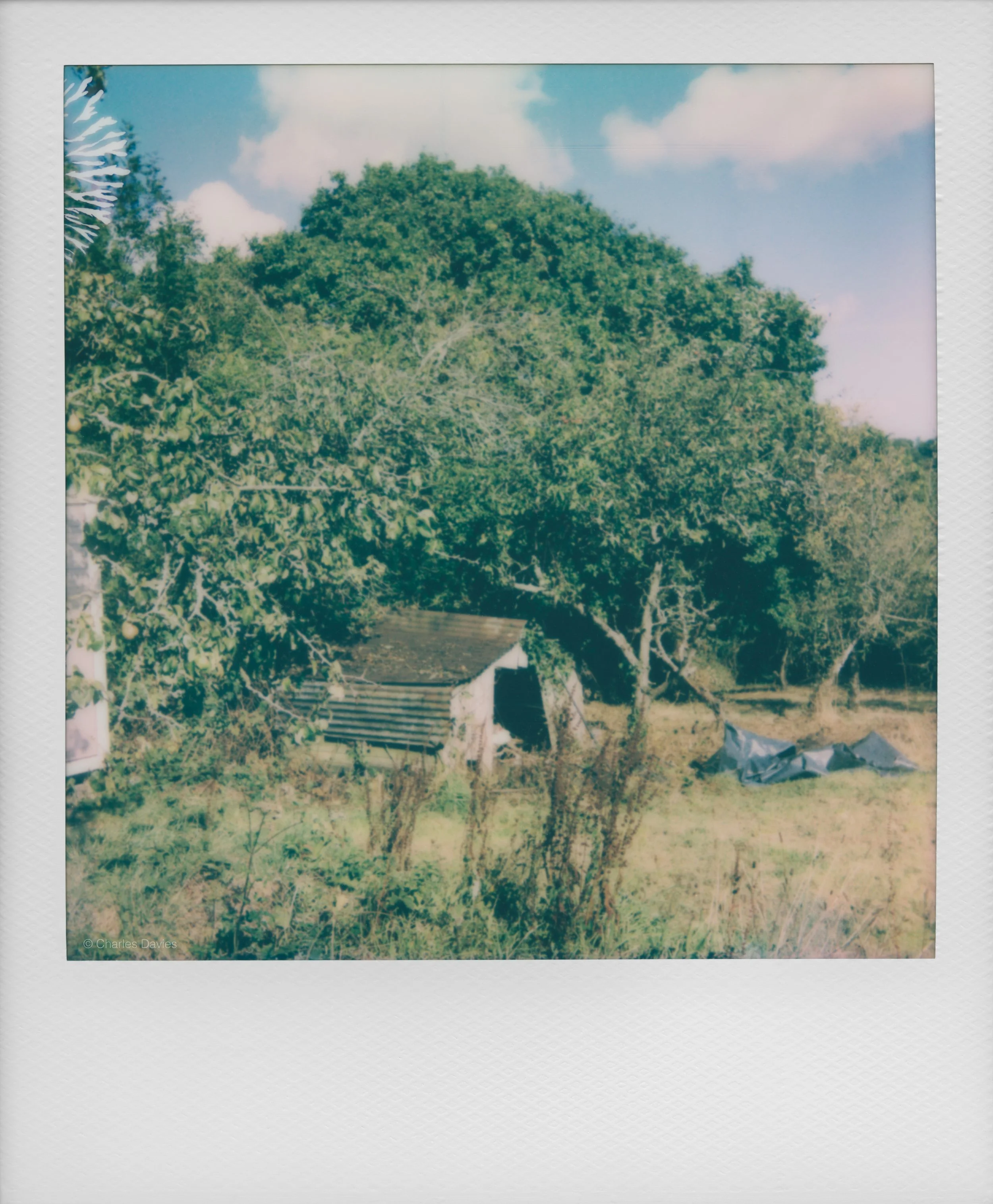 36 - 2022 - Polaroid Now.jpg