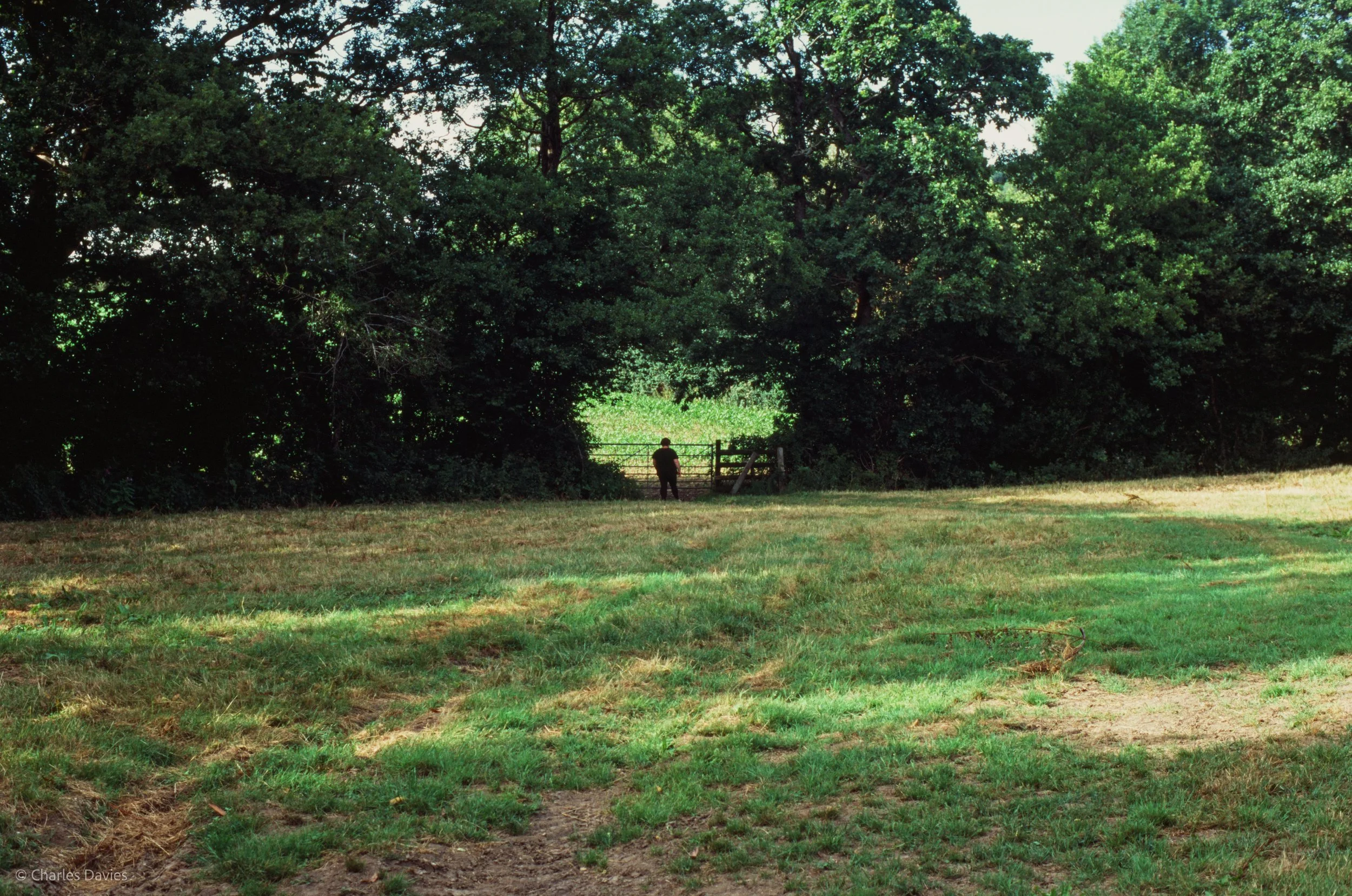 010.jpg