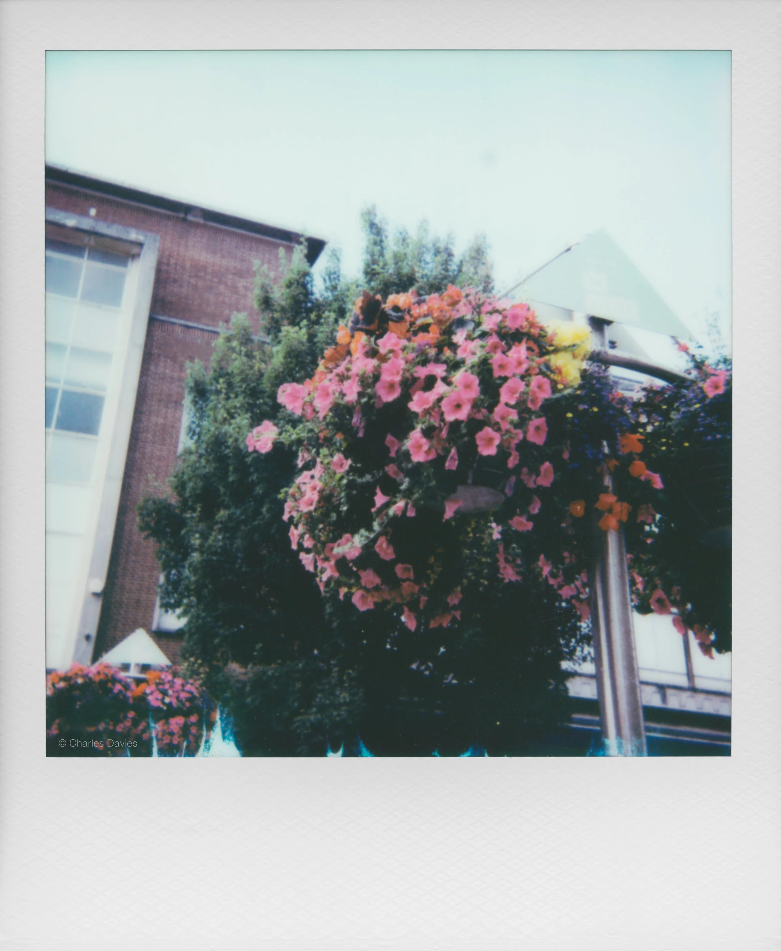 79 - 2025 - Polaroid Autofocus 660.jpg
