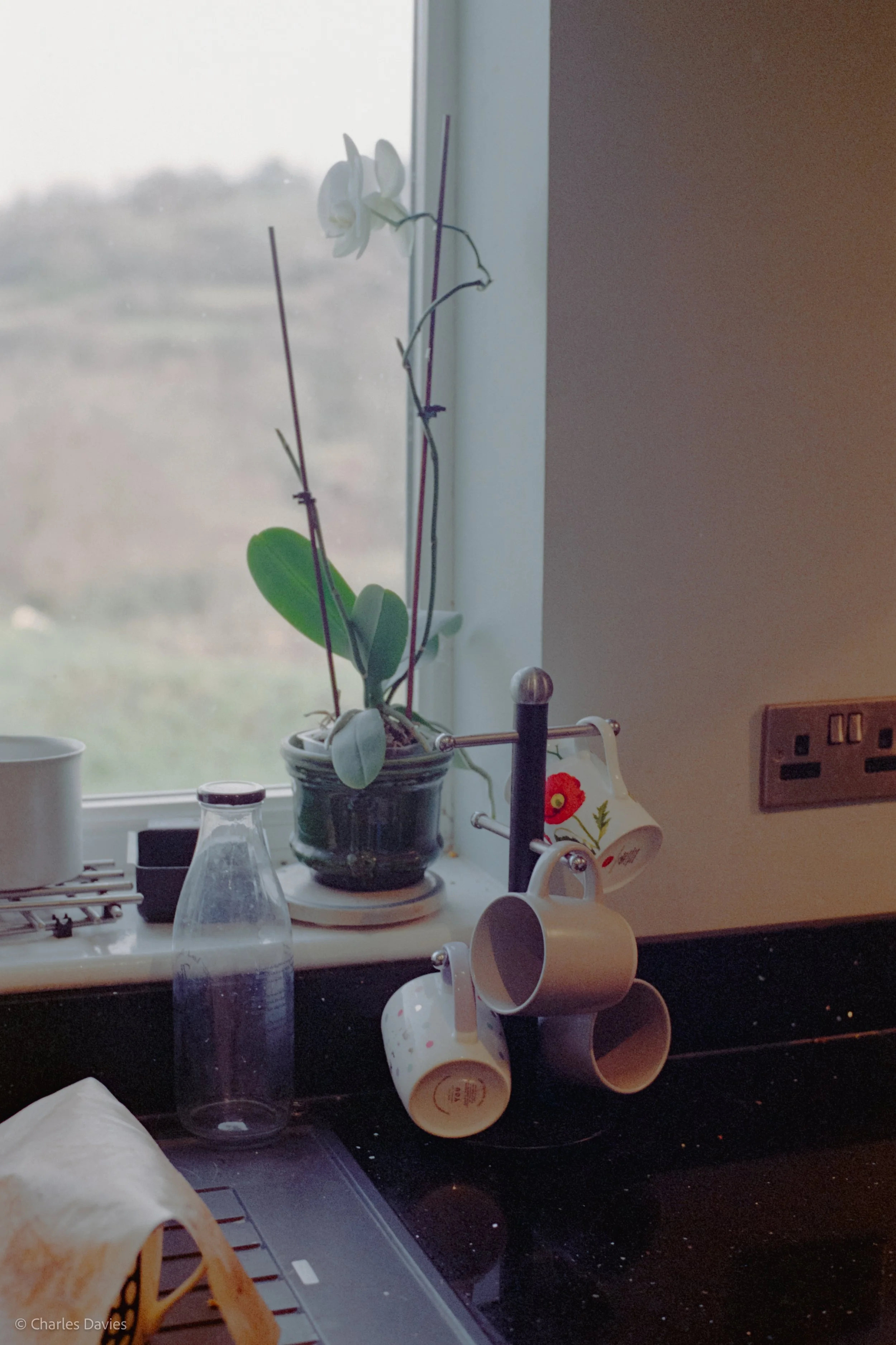 Roll 18 - 2025 - Europe - United Kingdom - Shute - Kodak UltraMax 400 - Contax RTS - 35mm - Film - Colour 