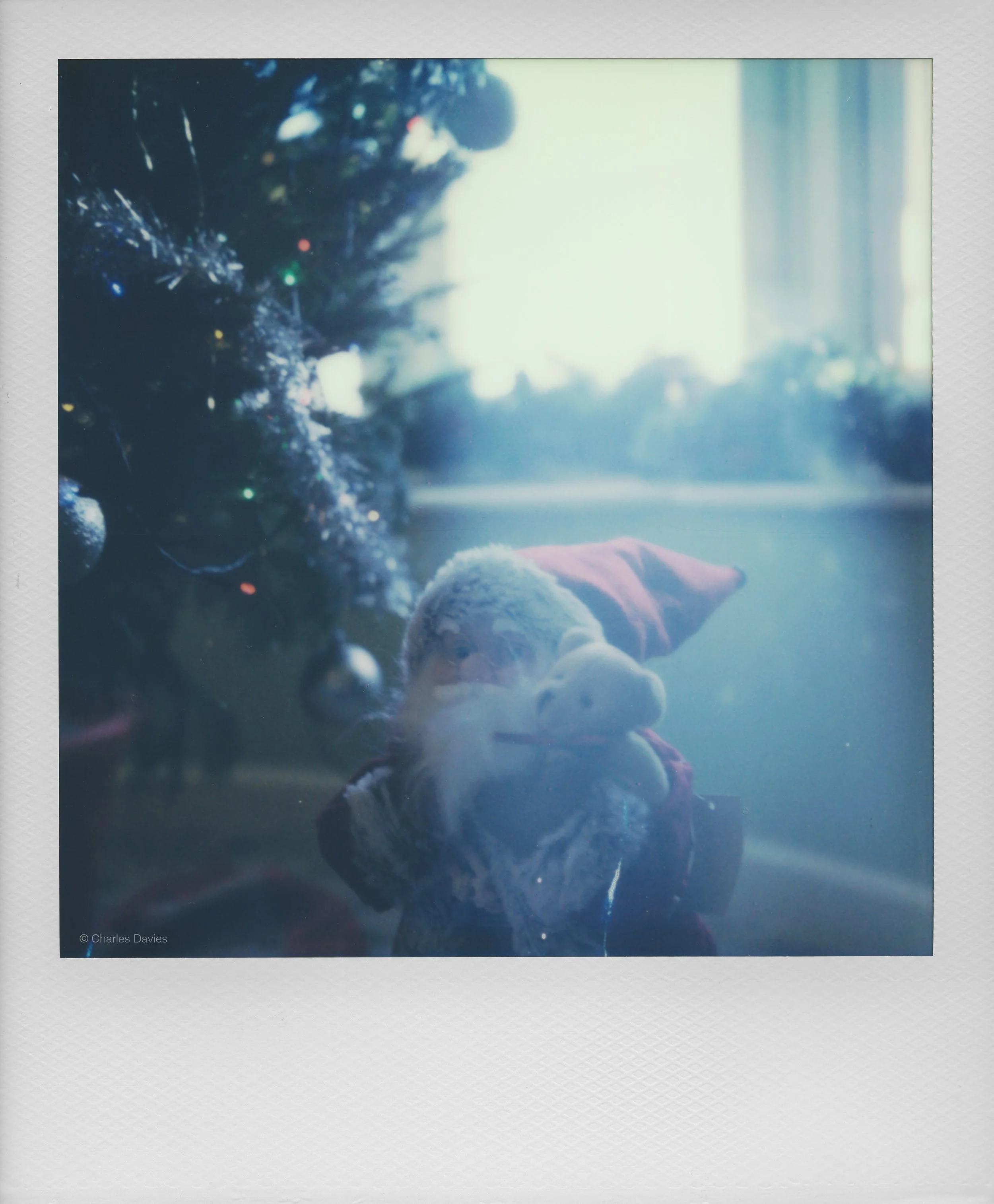 126 - 2022 - Polaroid SX-70 Sonar.jpg