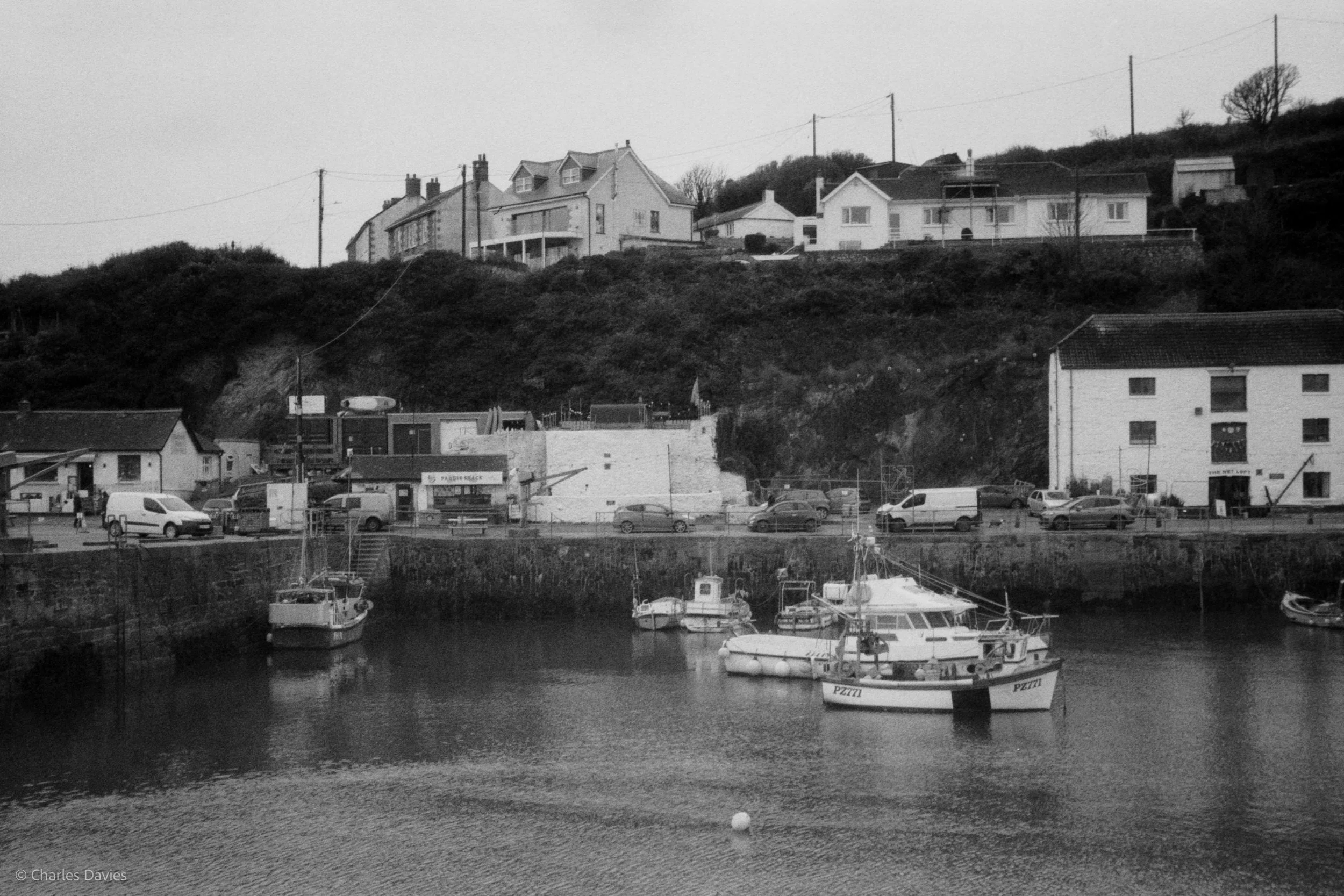 Image-2.jpg