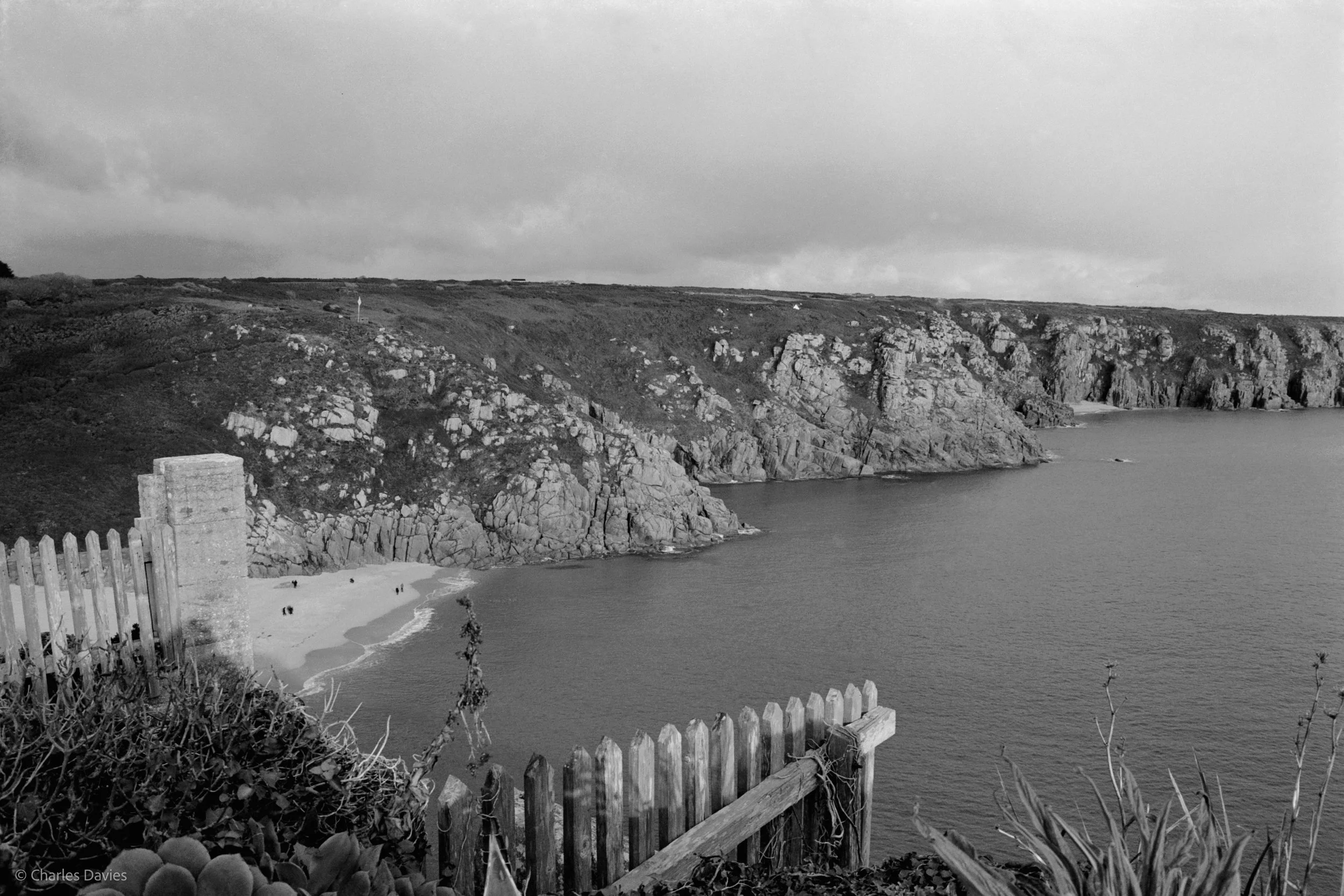 Image-8.jpg