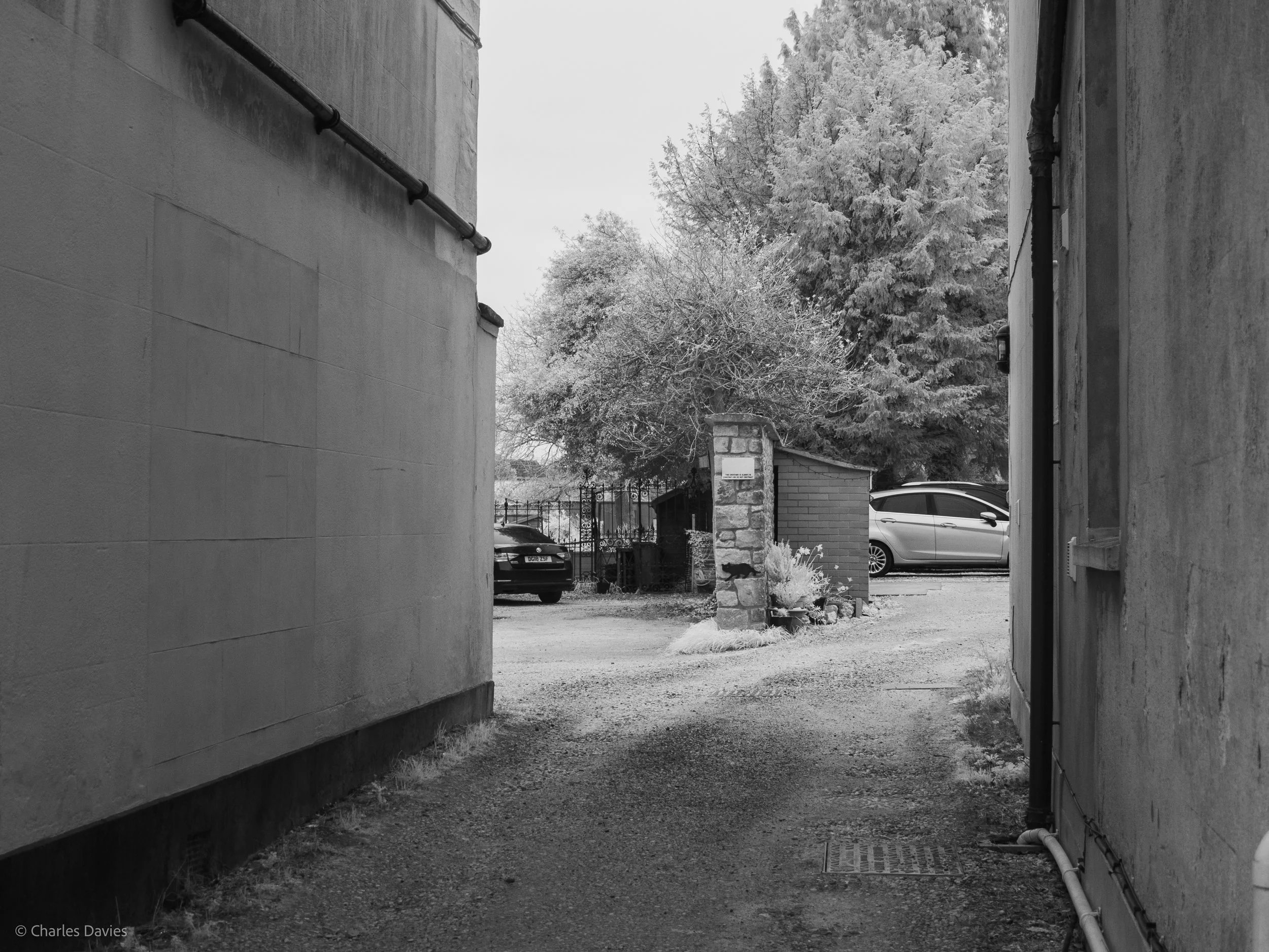 Apperture Priority - ISO 100 + F/5.1 + 1/100th - Chard