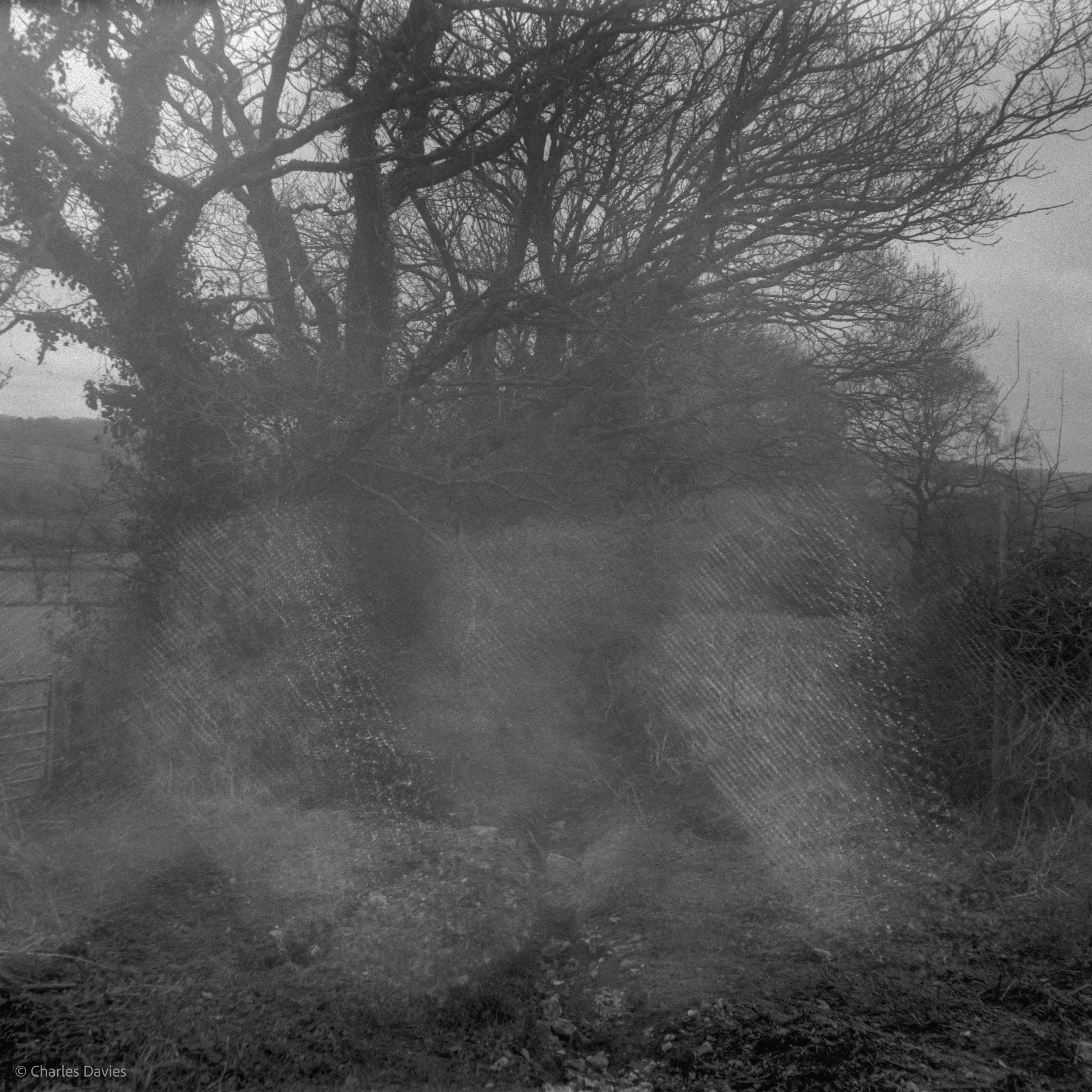 Roll 23 - 2025 - Europe - United Kingdom - Shute - Ilford HP5 Plus 400 - Agfa Isola - 120 Medium Format - Film - B&W