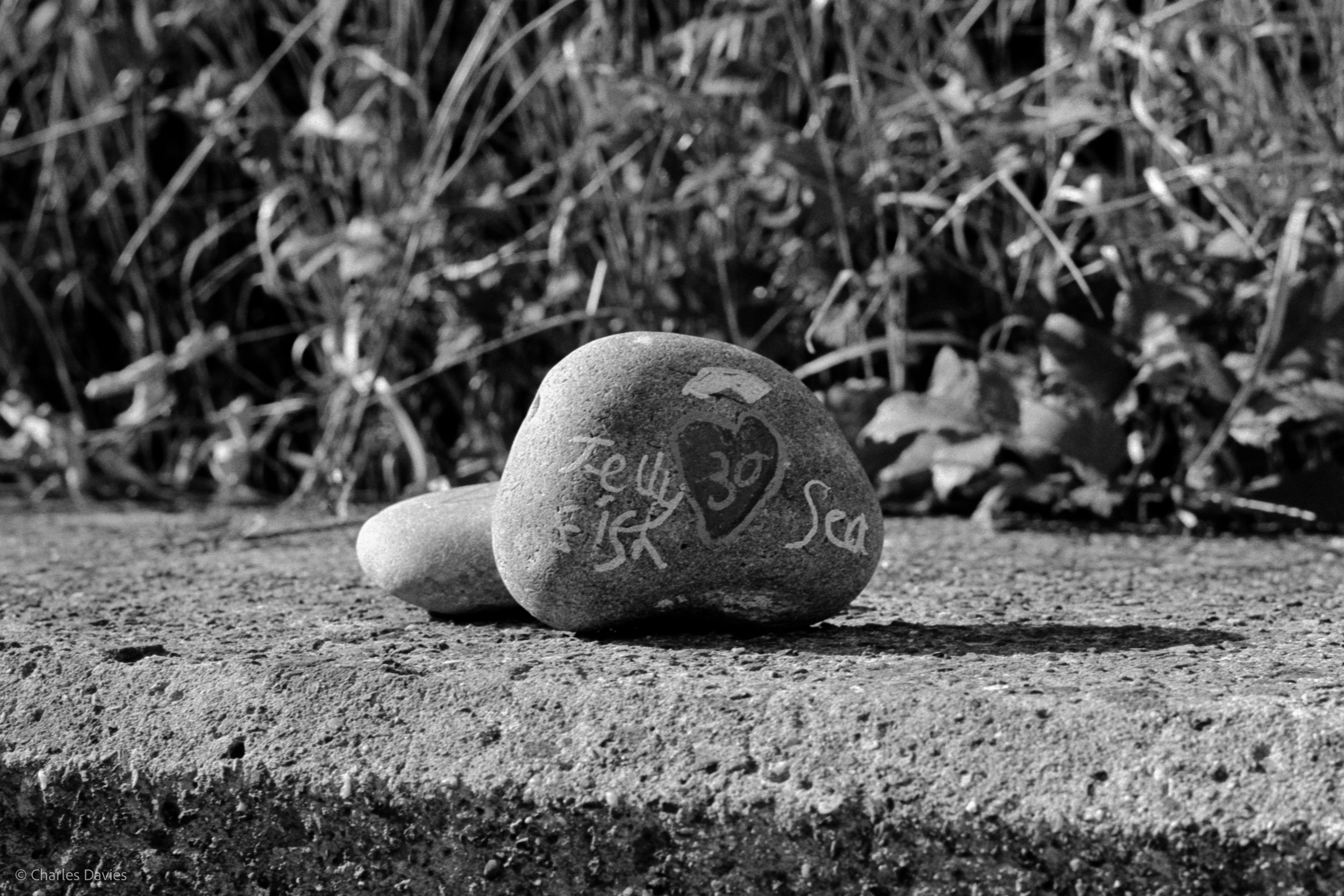 Shot 25 - Manual - Seaton 
