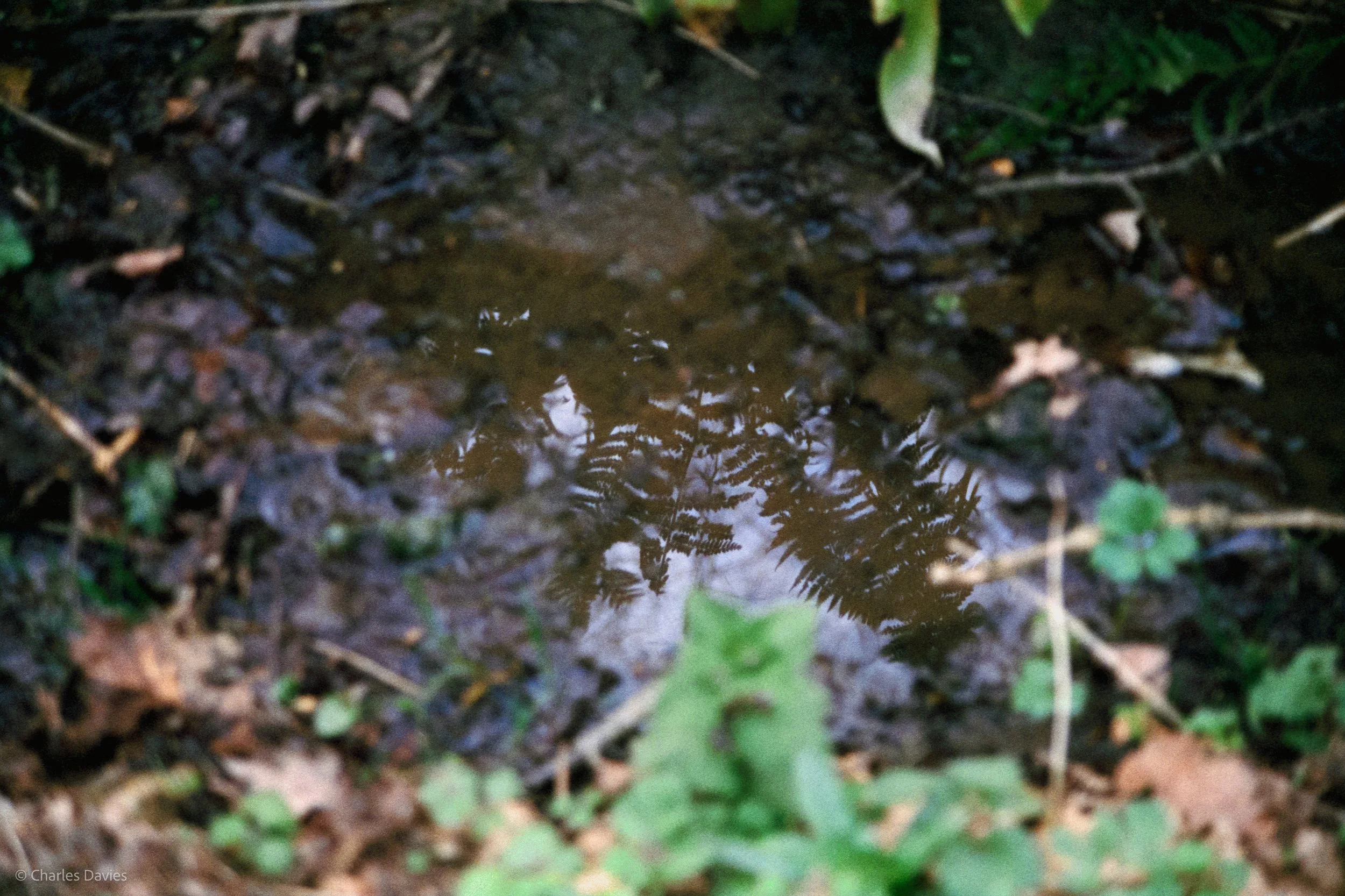 Shot 28 - Auto - Home 